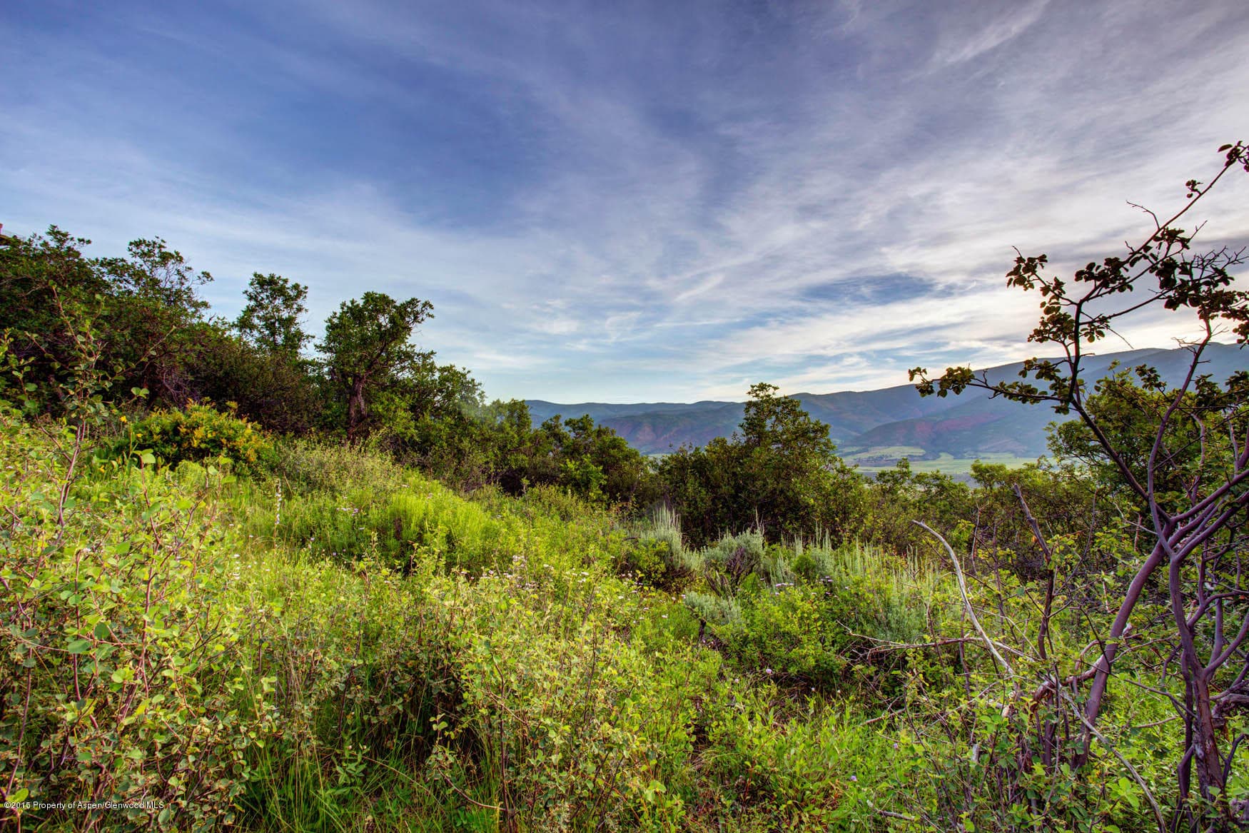 1355 Medicine Bow Road, Aspen, CO 81611 - Photo 7