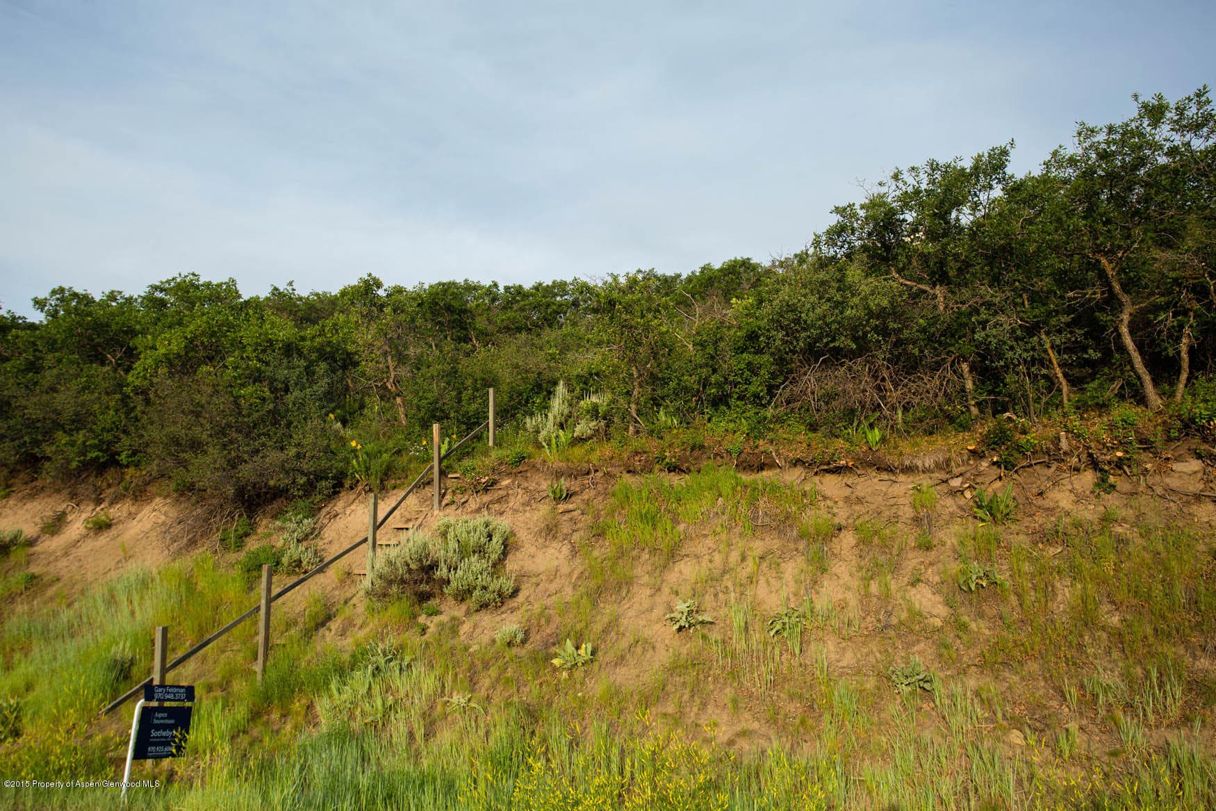 1355 Medicine Bow Road, Aspen, CO 81611 - Photo 11
