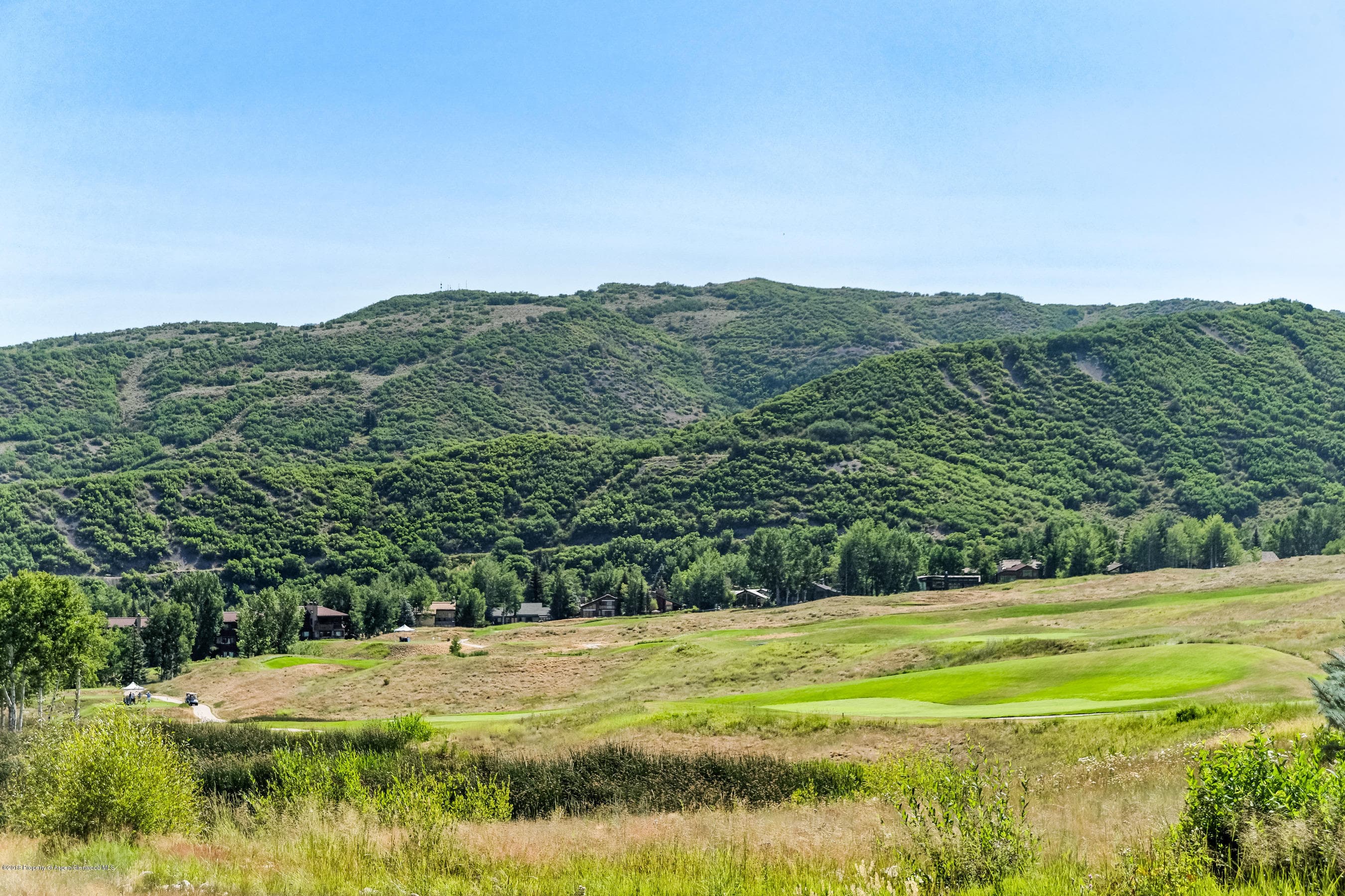 52 Harleston Green 39, Snowmass Village, CO 81615 - Photo 18