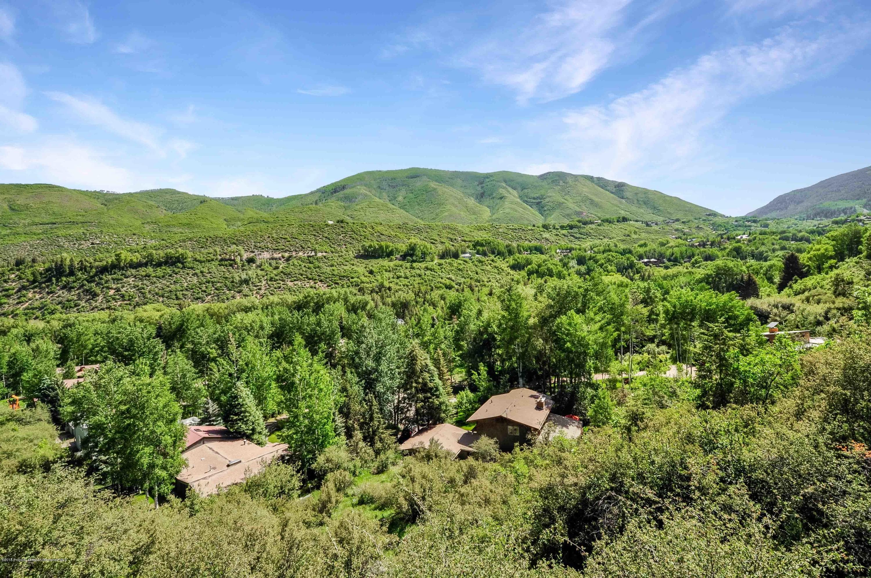 1050 Cemetery Lane, Aspen, CO 81611 - Photo 3