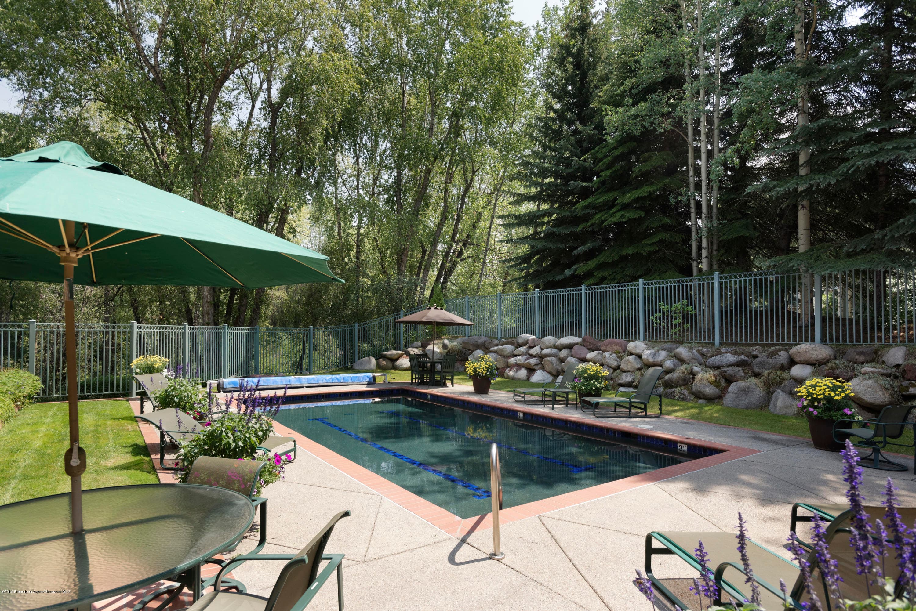 130 N Spring Street, Aspen, CO 81611 - Photo 32