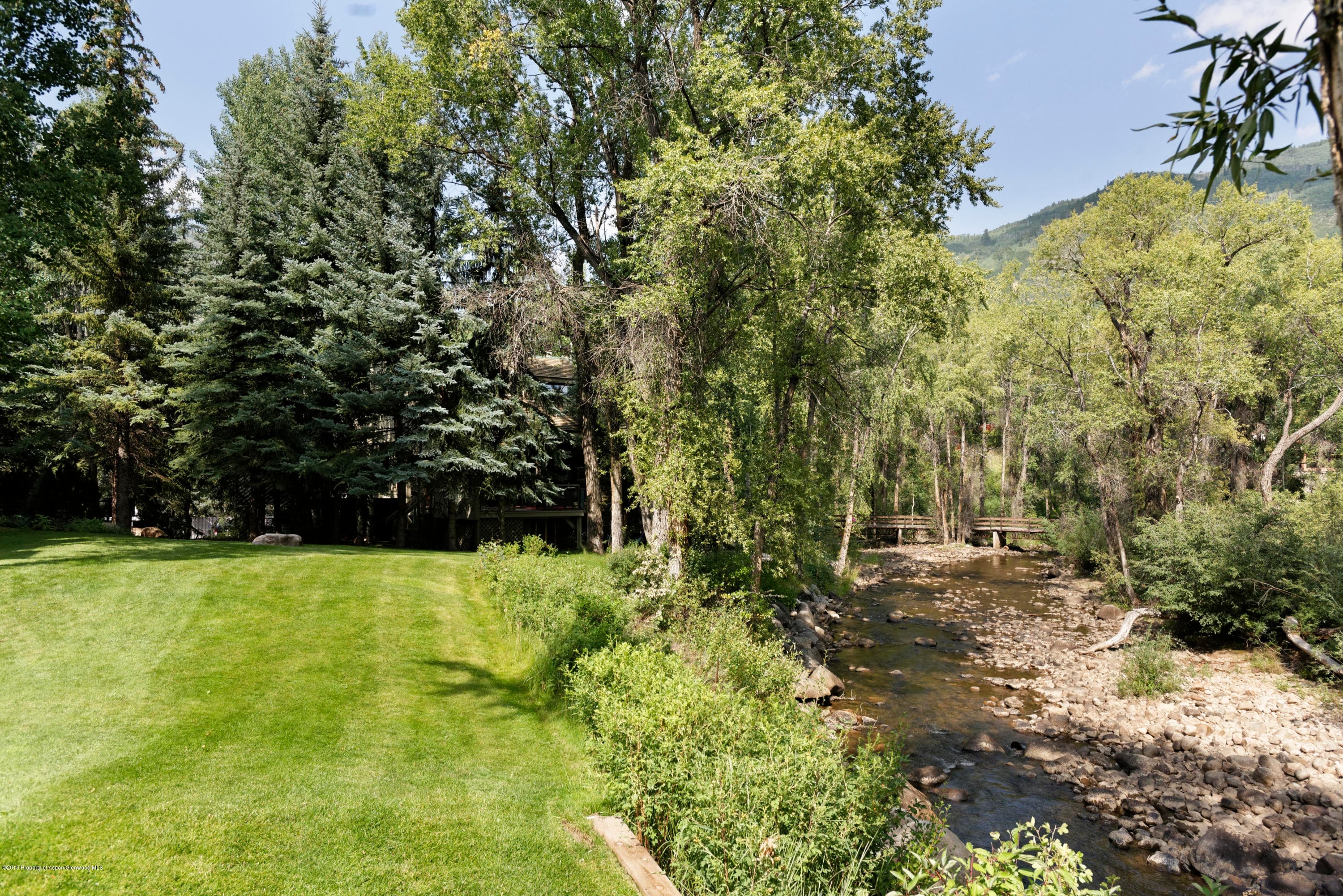 130 N Spring Street, Aspen, CO 81611 - Photo 33