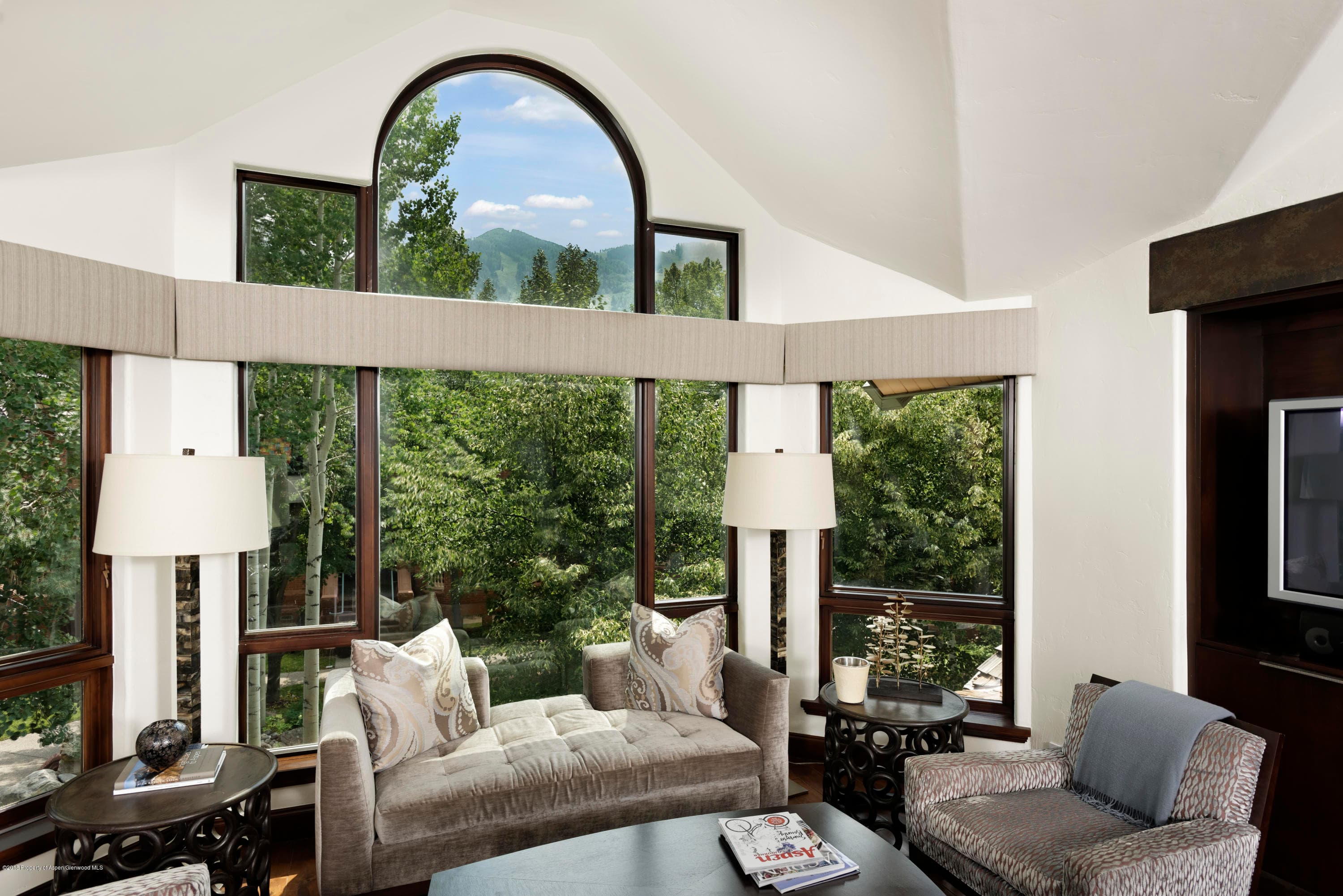 130 N Spring Street, Aspen, CO 81611 - Photo 3