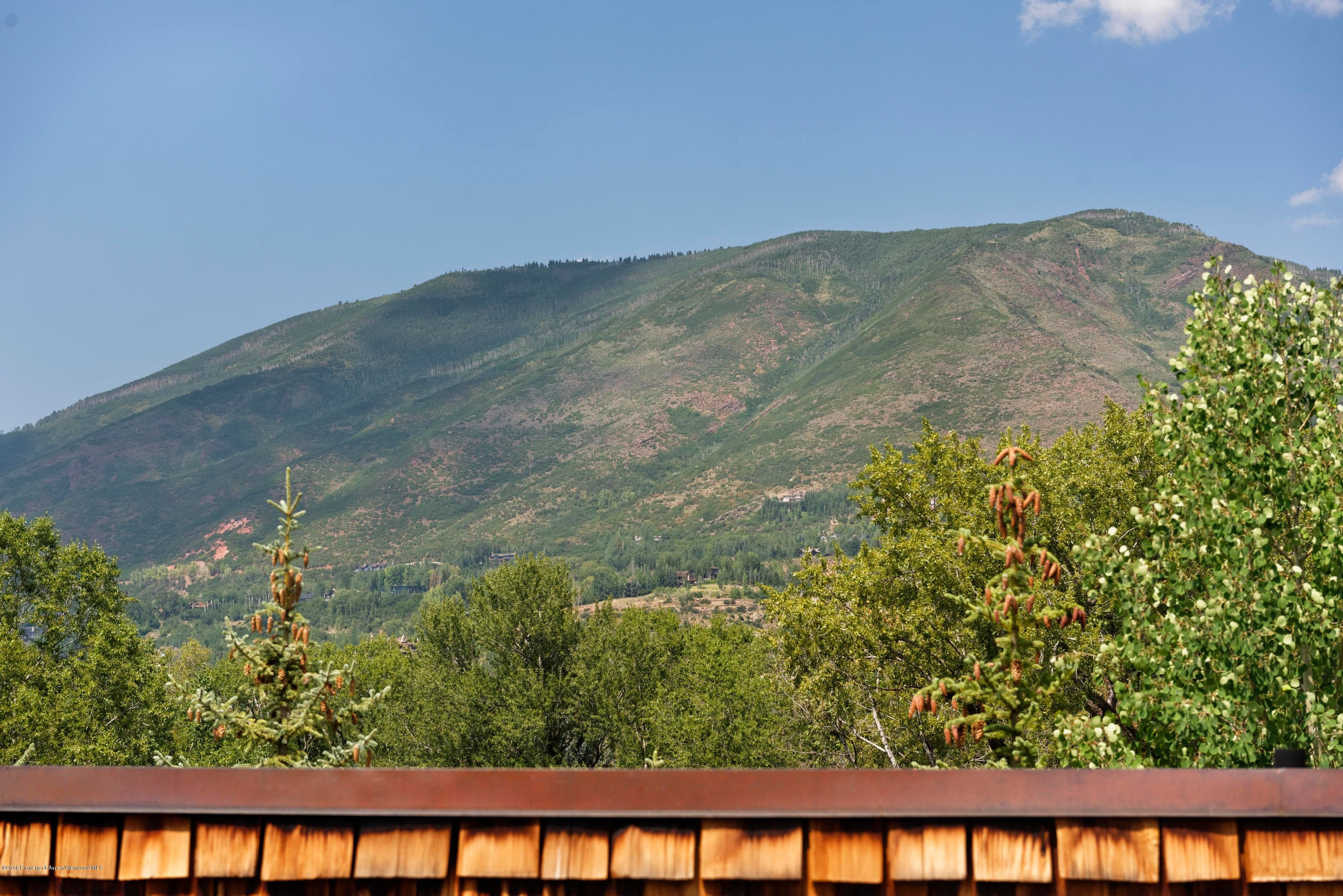 130 N Spring Street, Aspen, CO 81611 - Photo 35