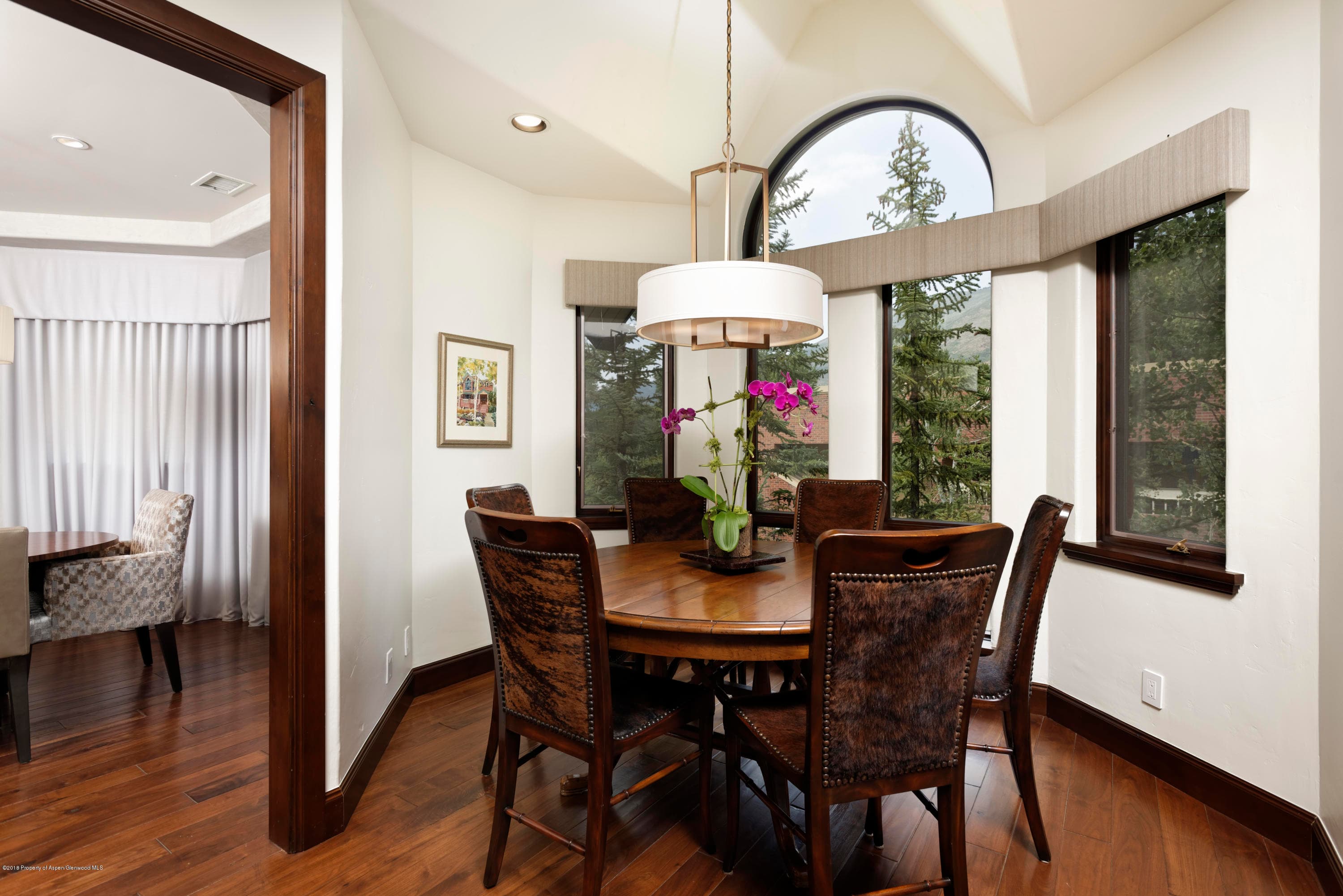 130 N Spring Street, Aspen, CO 81611 - Photo 7