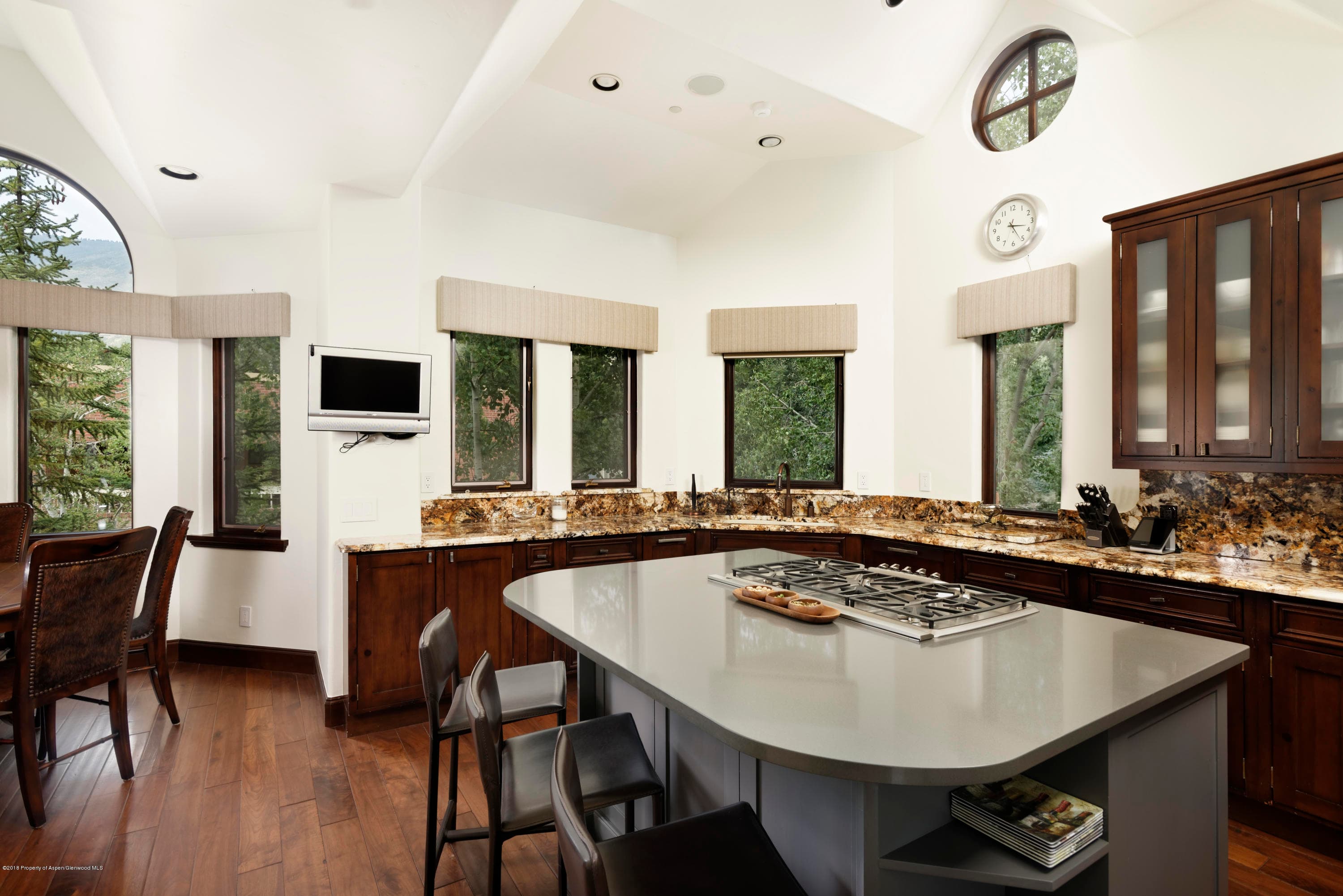 130 N Spring Street, Aspen, CO 81611 - Photo 9