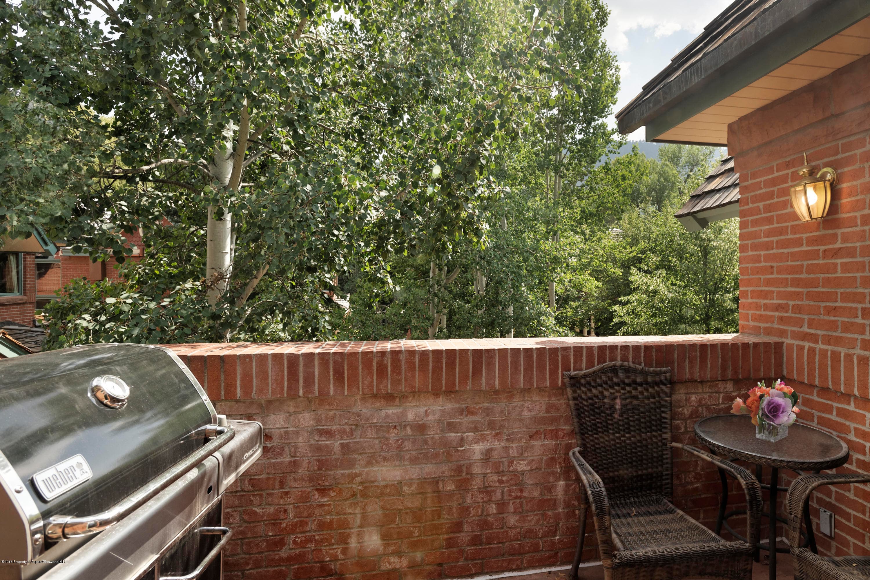 130 N Spring Street, Aspen, CO 81611 - Photo 38