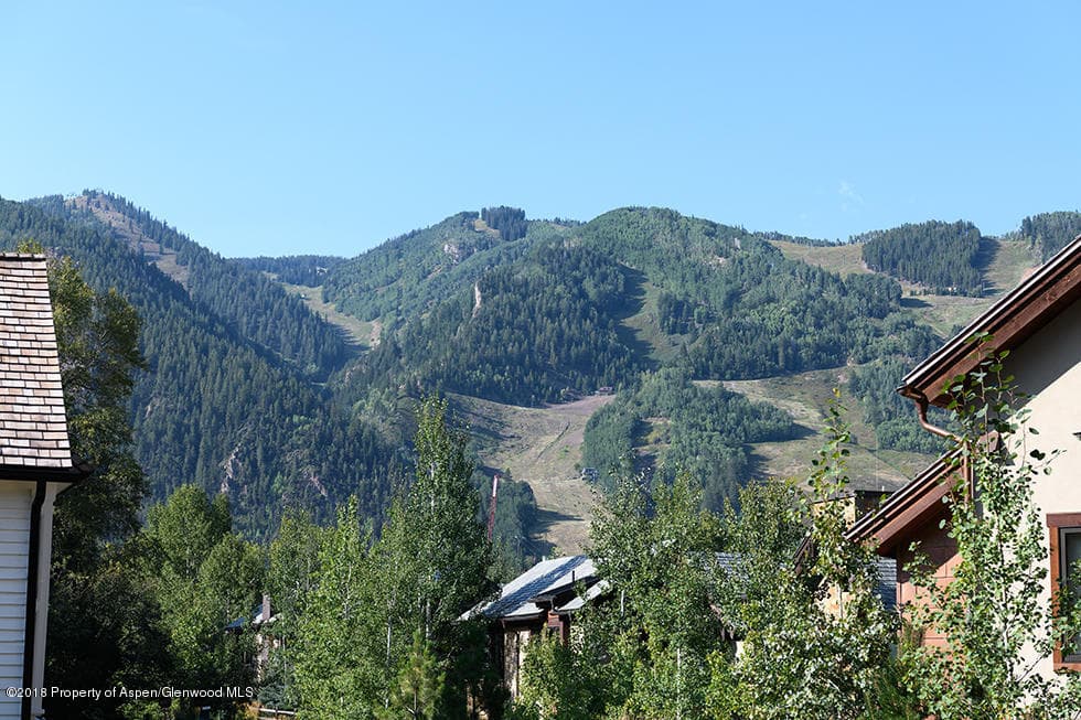 553 Race Alley Lot 4 House I, Aspen, CO 81611