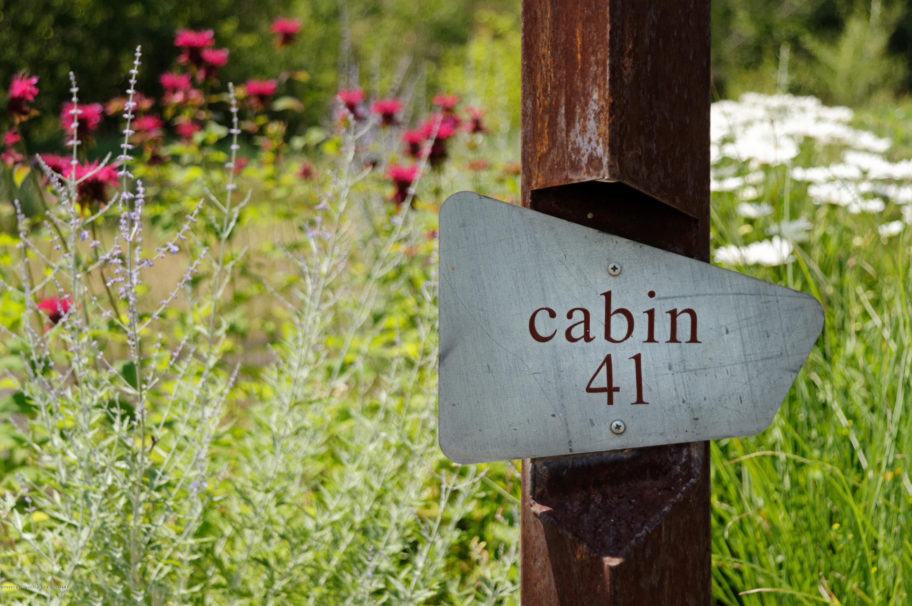 41 Altamira Ranch Road, Basalt, CO 81621 - Photo 28