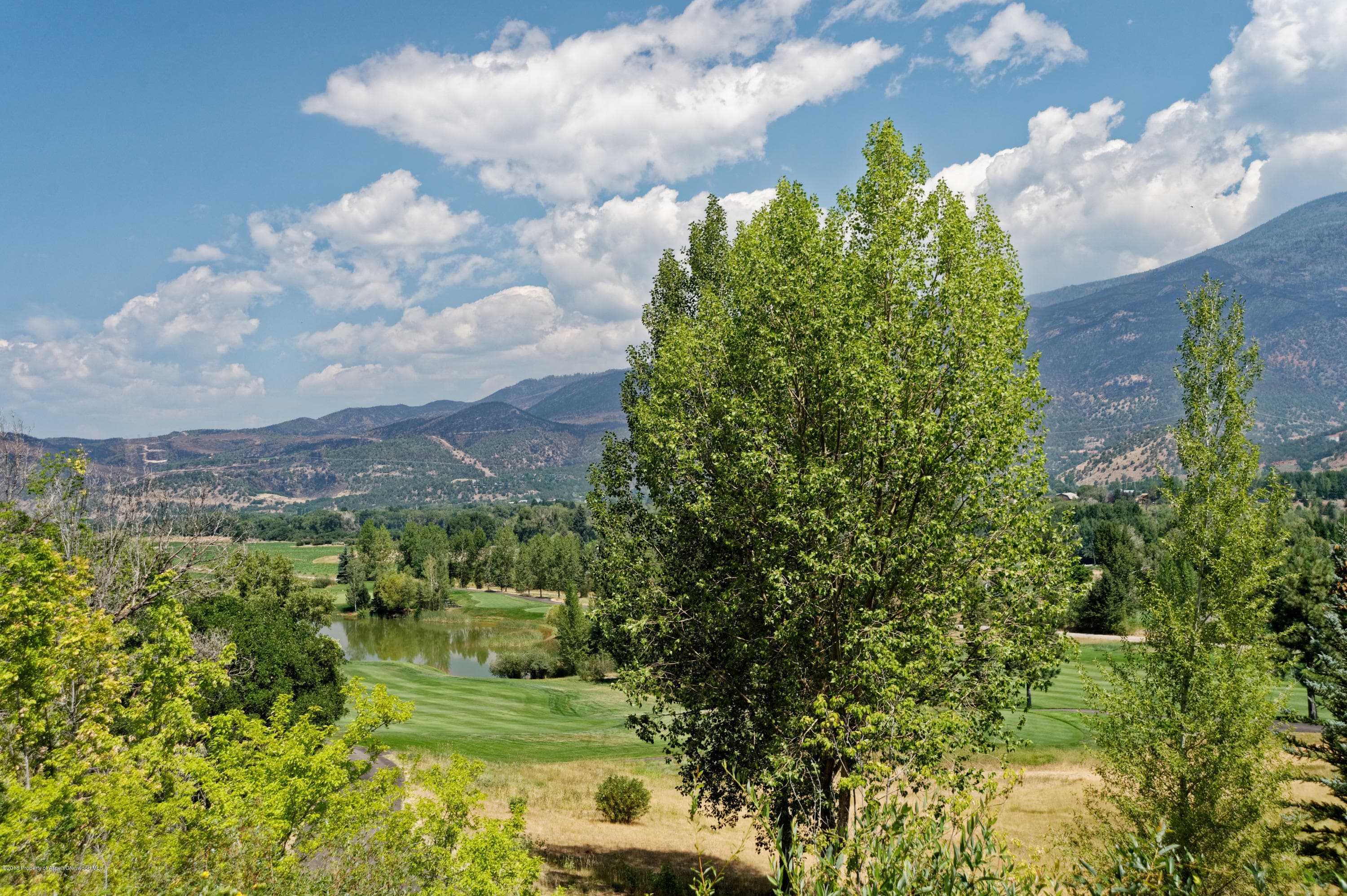 41 Altamira Ranch Road, Basalt, CO 81621 - Photo 27