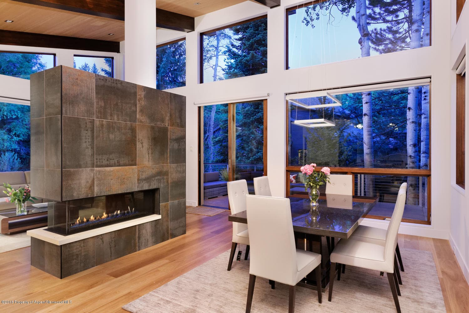 755 Castle Creek Drive, Aspen, CO 81611 - Photo 11