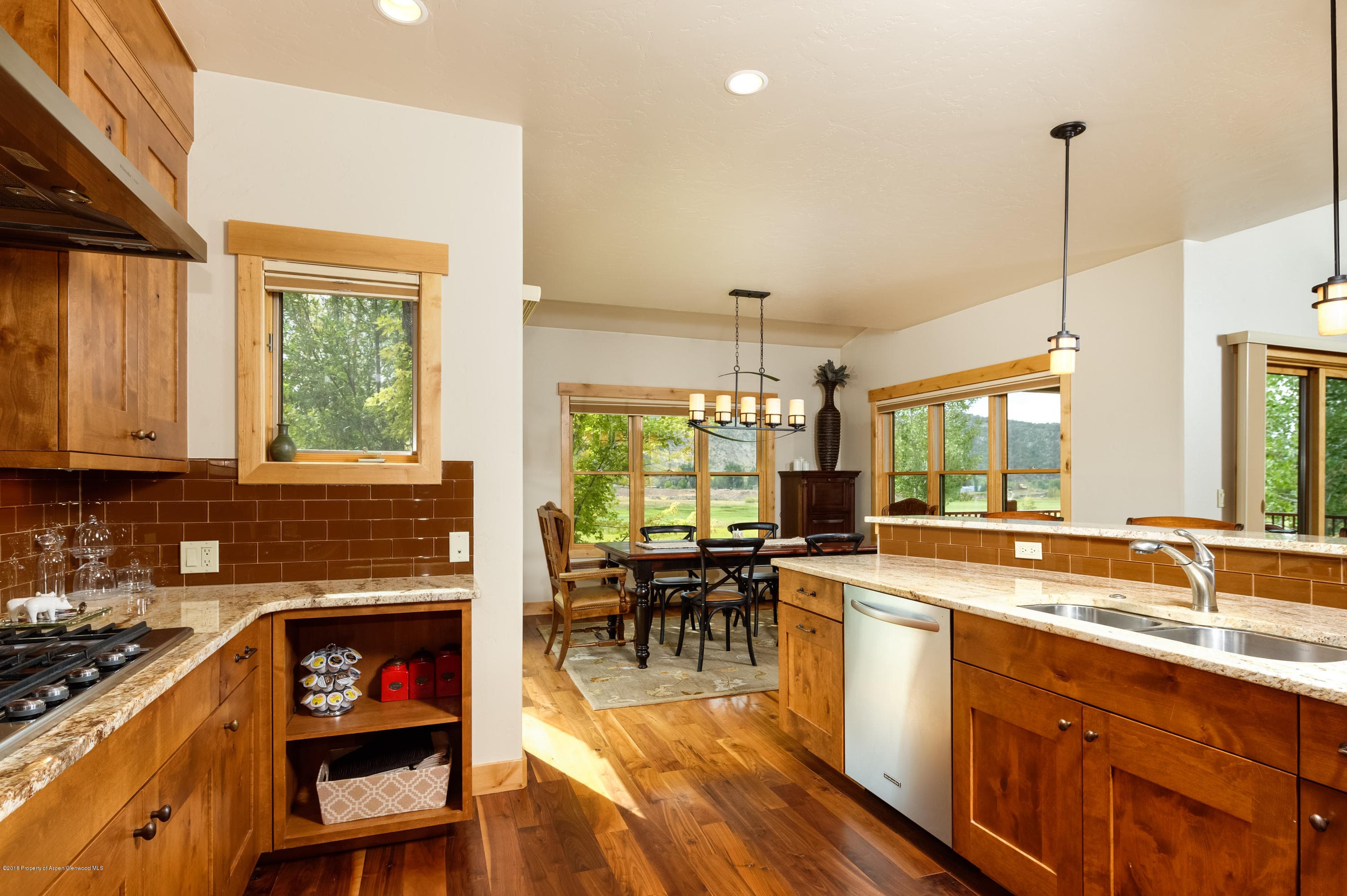 579 Larkspur Drive, Carbondale, CO 81623 - Photo 9