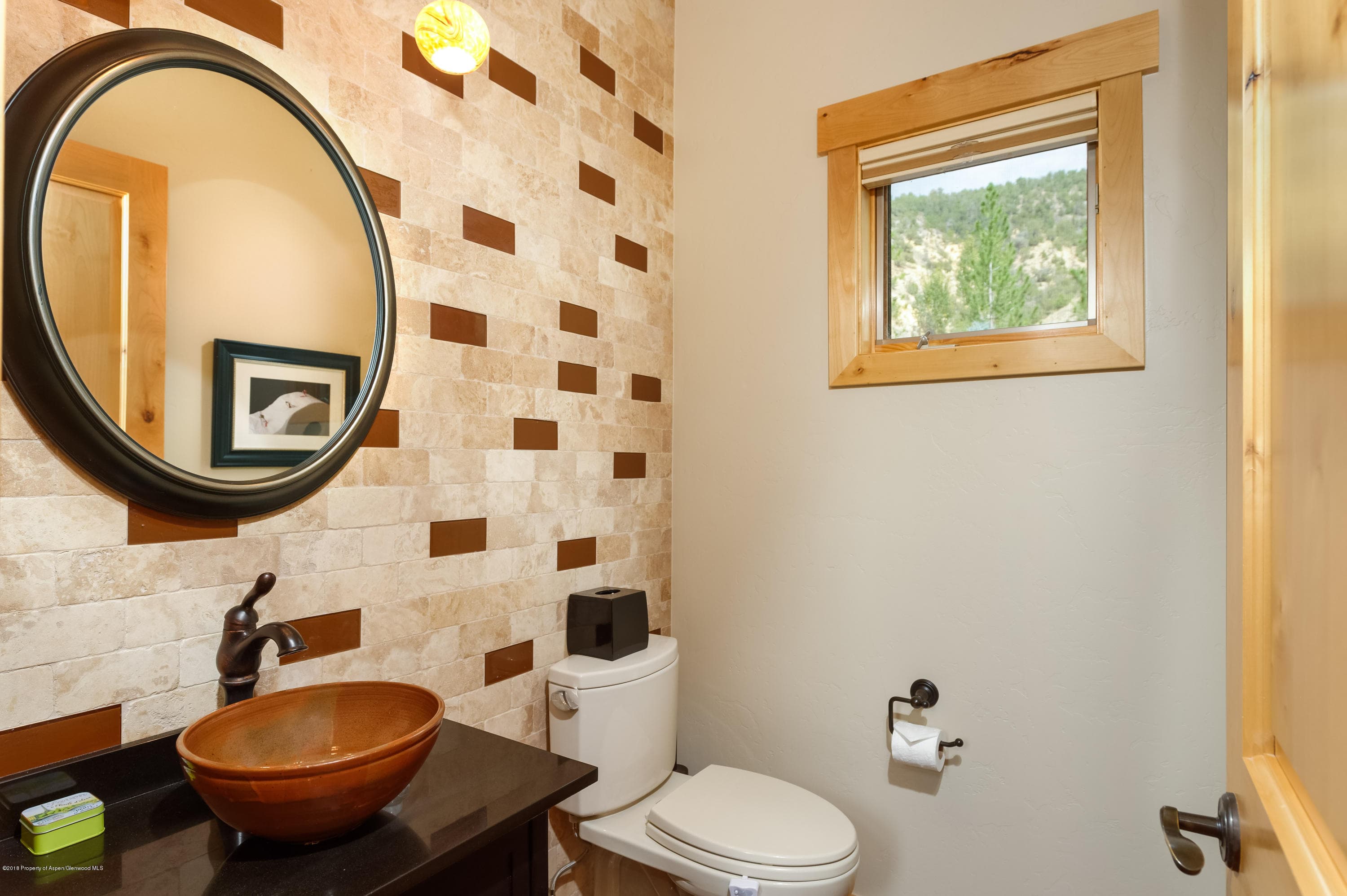 579 Larkspur Drive, Carbondale, CO 81623 - Photo 11
