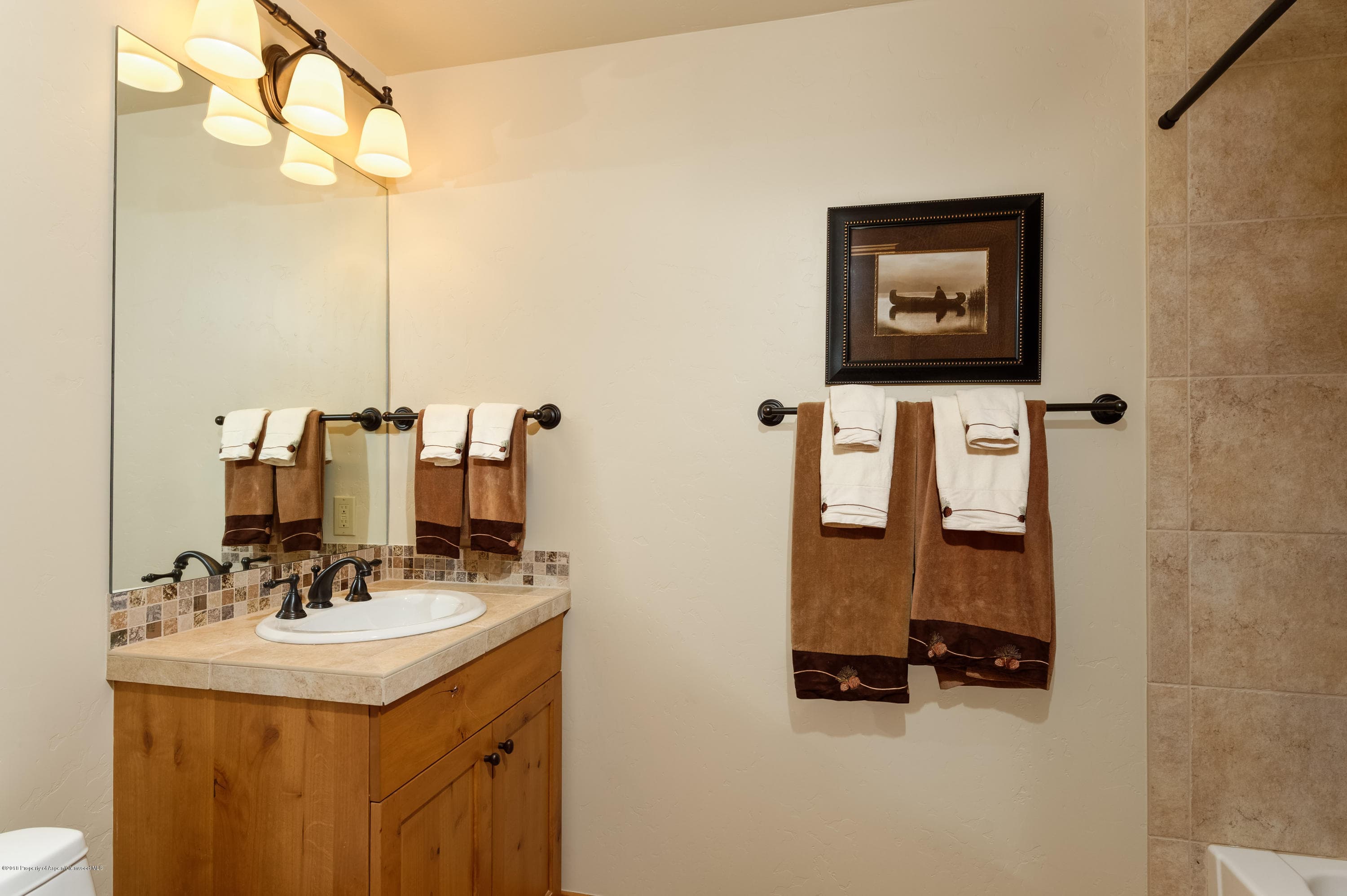 579 Larkspur Drive, Carbondale, CO 81623 - Photo 25