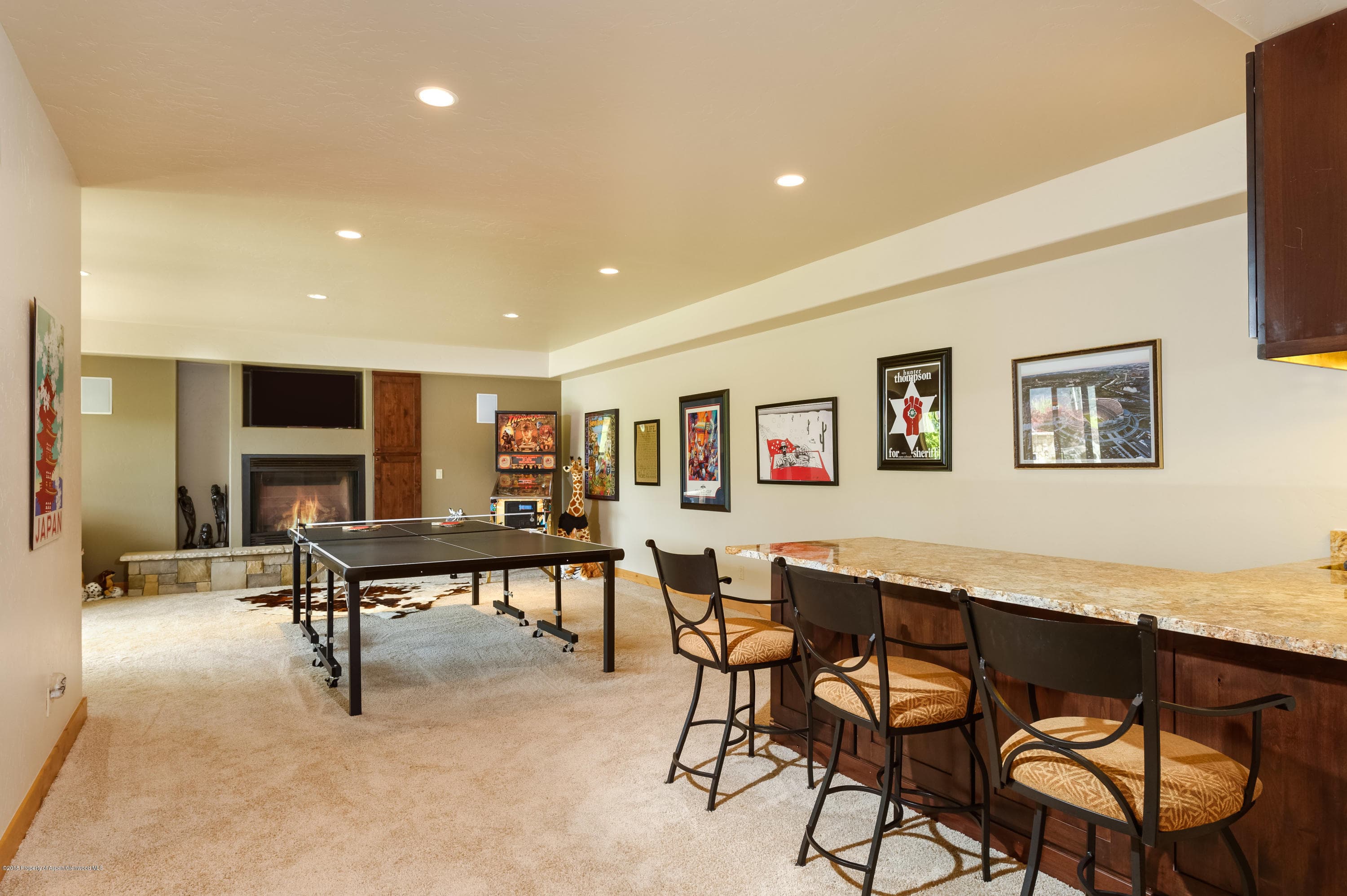 579 Larkspur Drive, Carbondale, CO 81623 - Photo 21