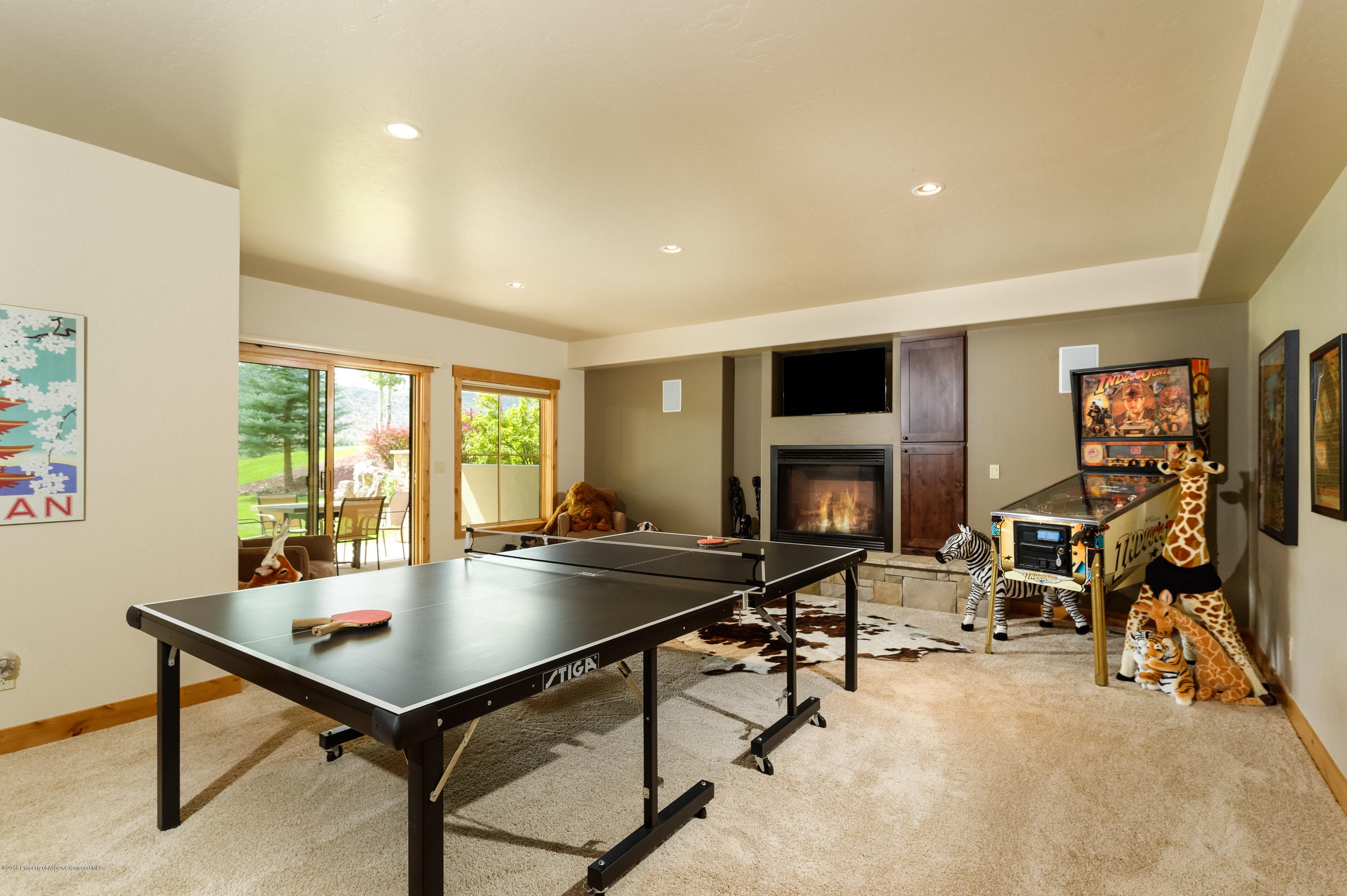 579 Larkspur Drive, Carbondale, CO 81623 - Photo 20