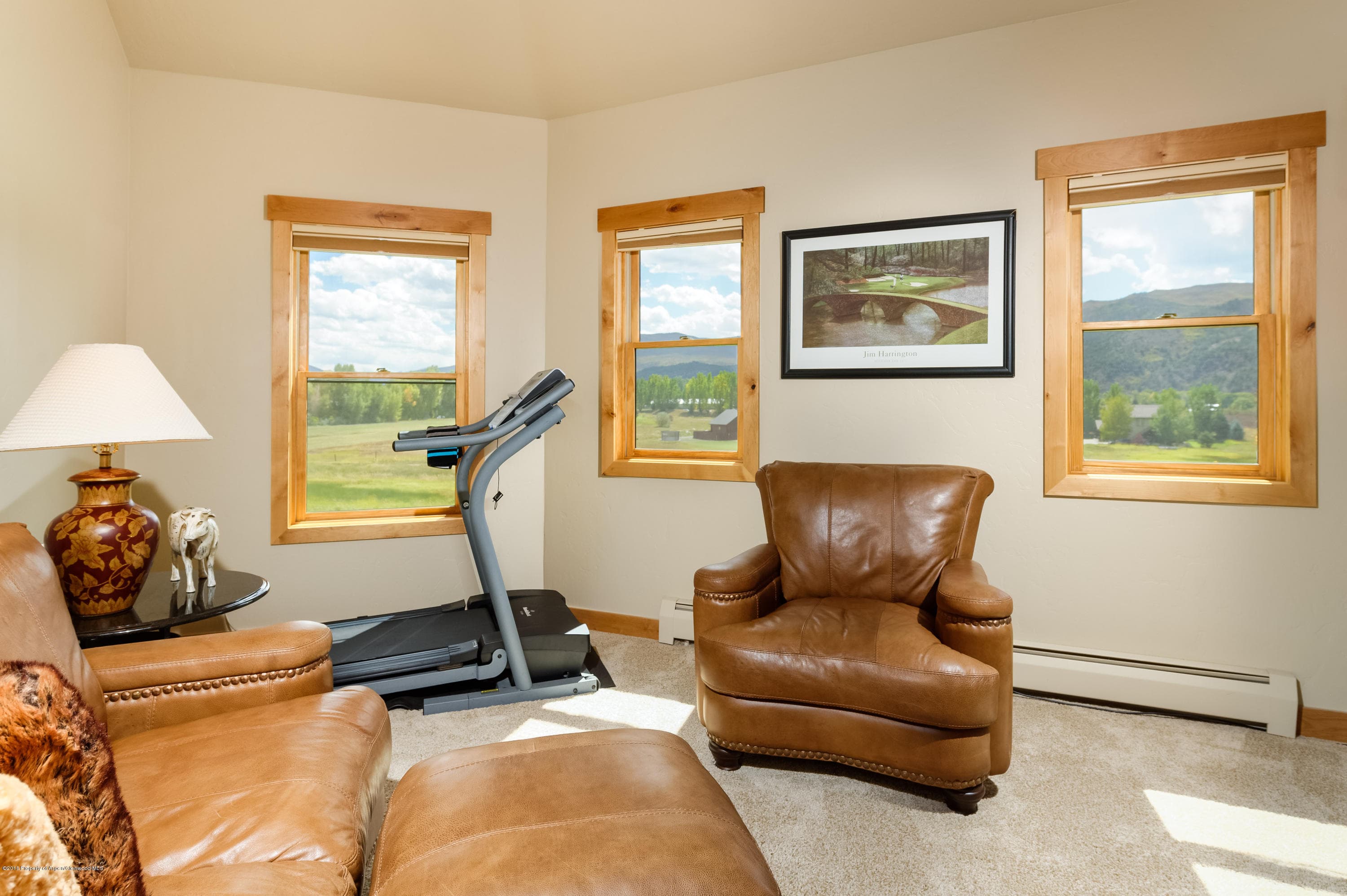 579 Larkspur Drive, Carbondale, CO 81623 - Photo 19