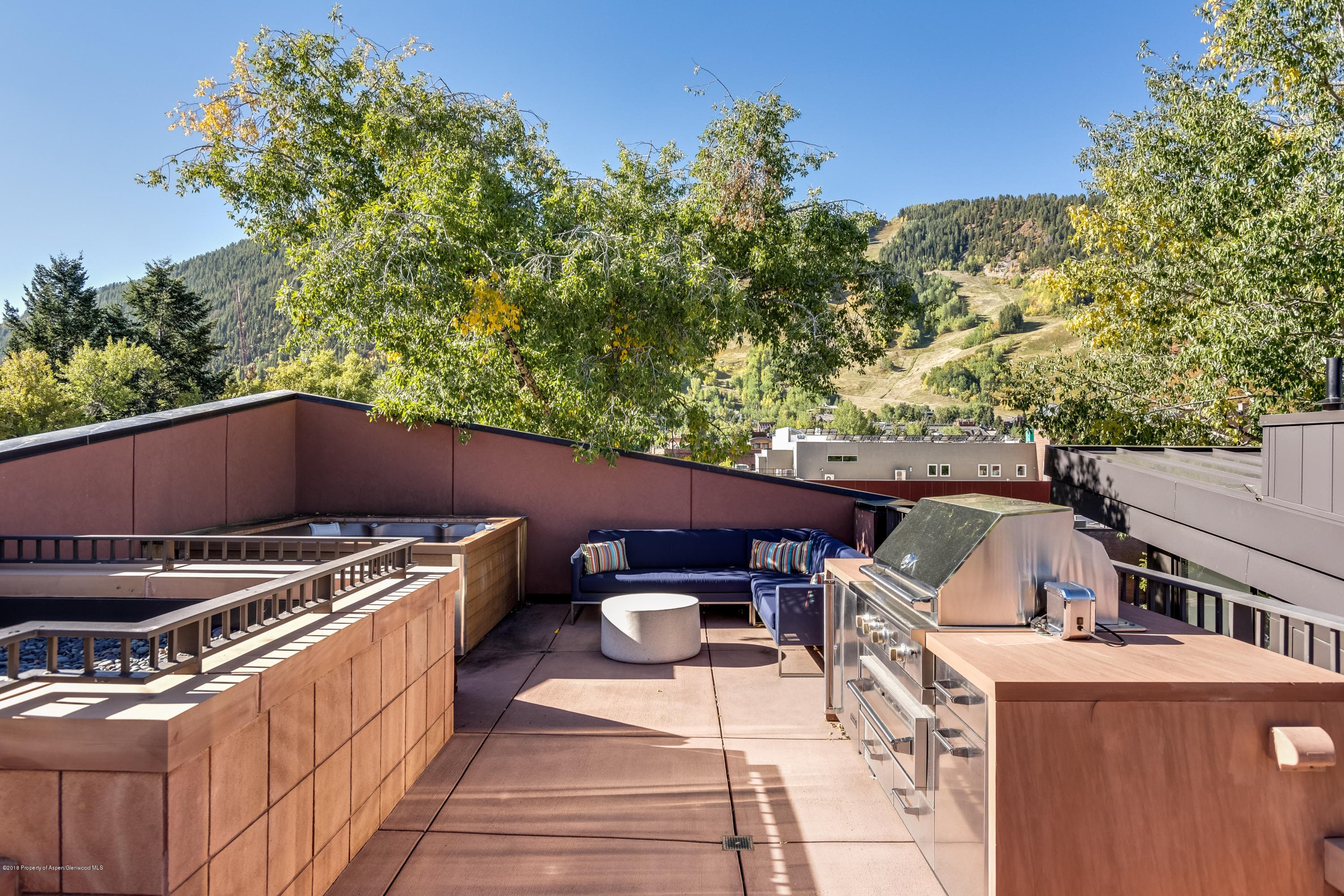 426 E Main Street, Aspen, CO 81611 - Photo 23