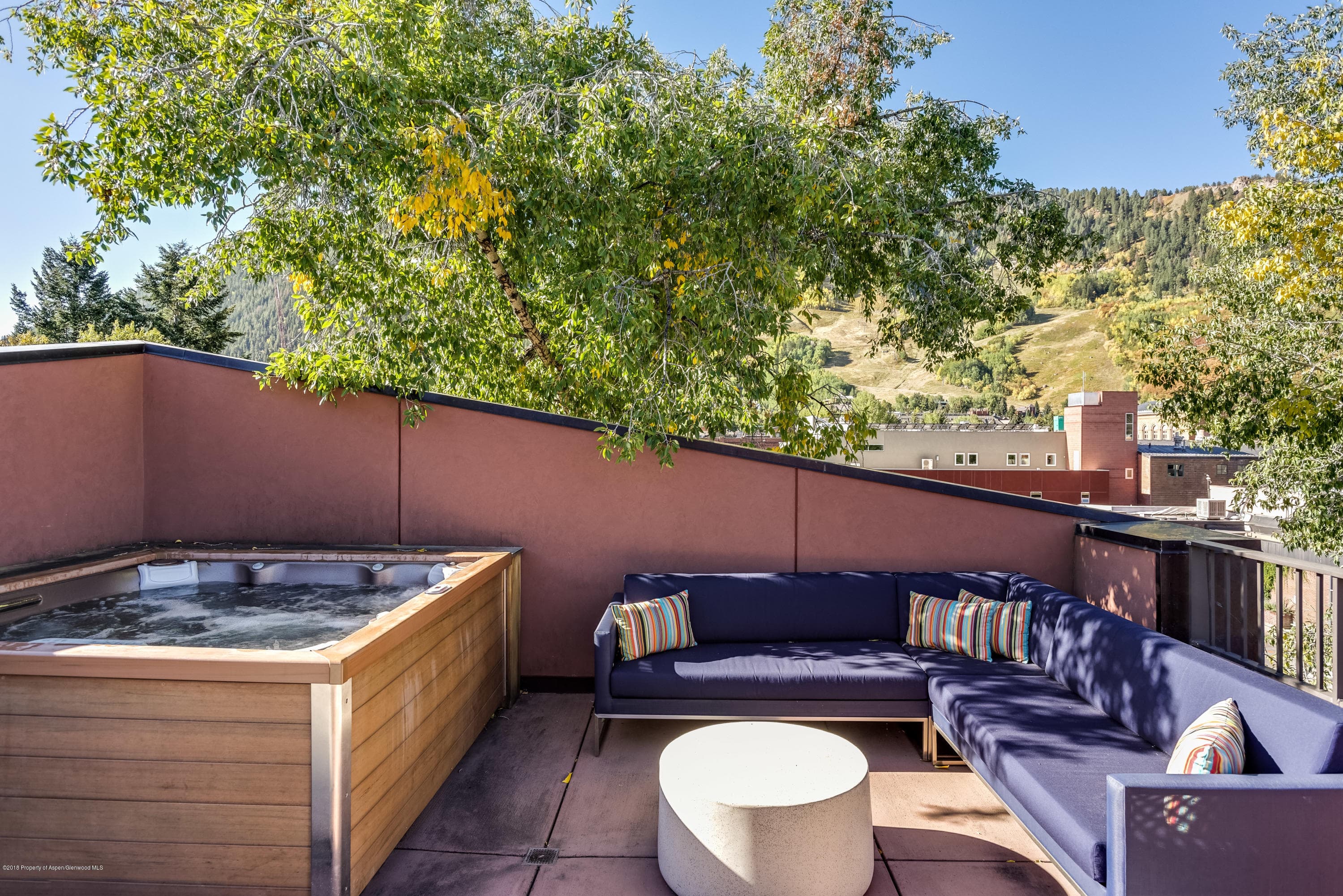426 E Main Street, Aspen, CO 81611 - Photo 24