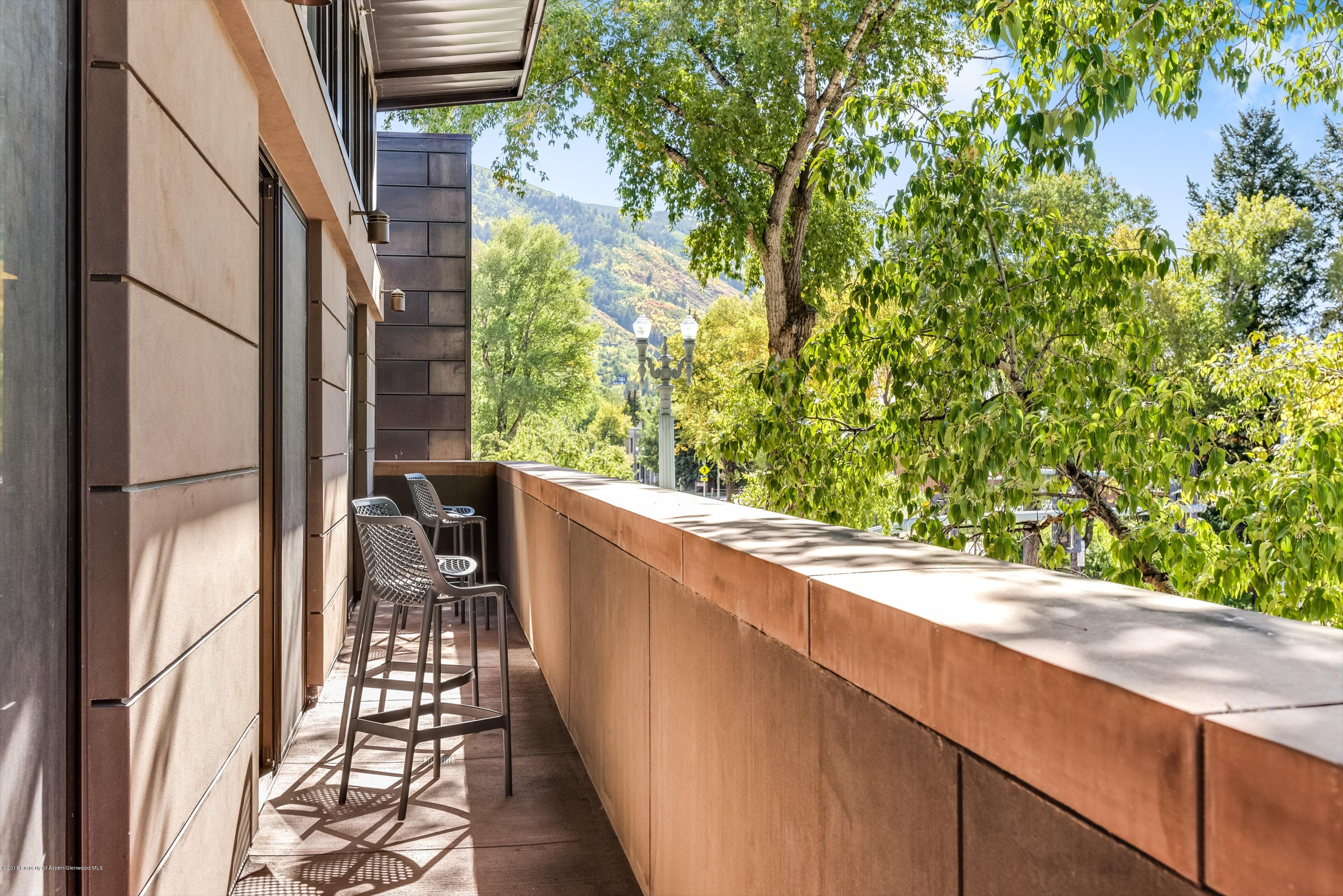 426 E Main Street, Aspen, CO 81611 - Photo 22