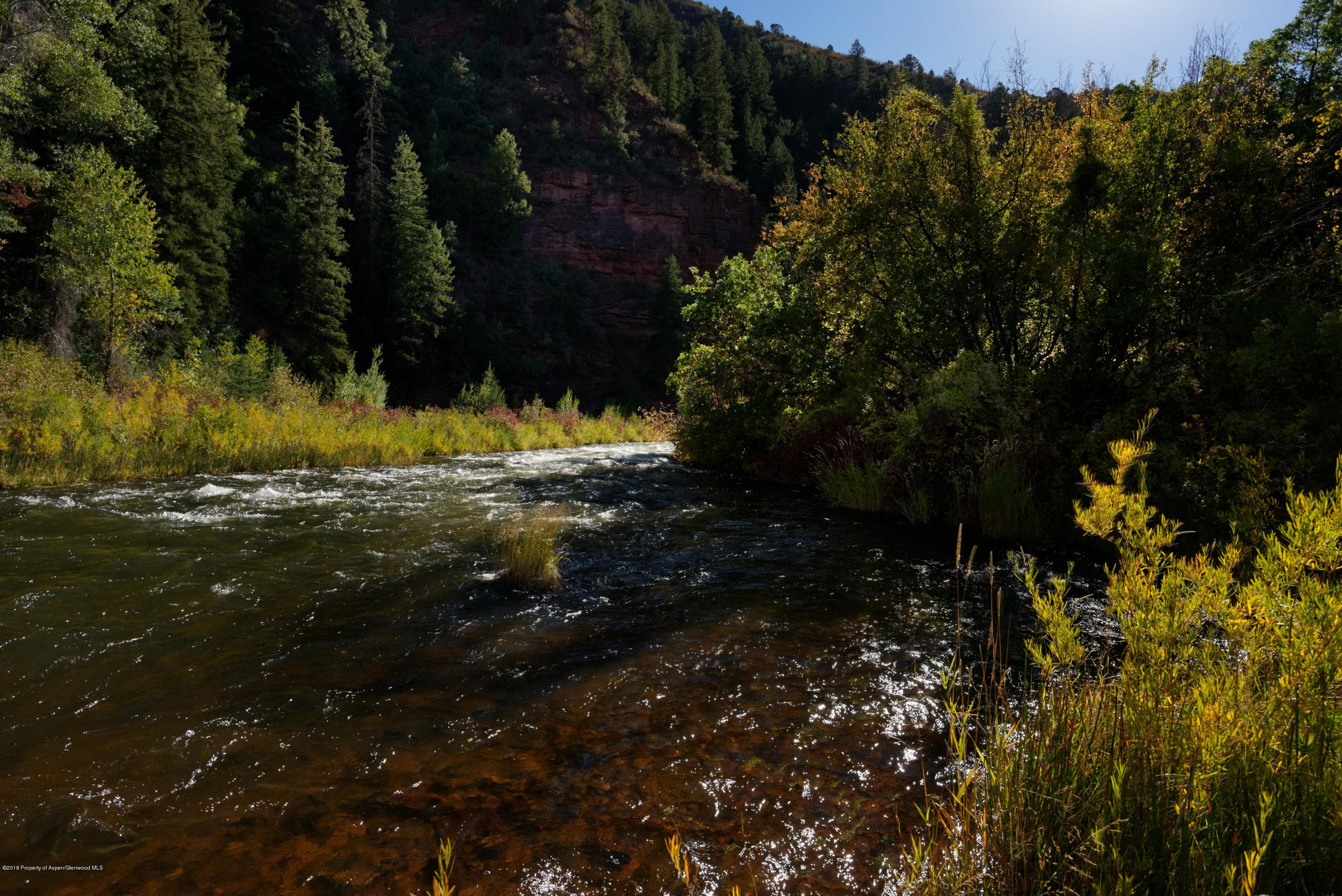 3006 Frying Pan Road, Basalt, CO 81621 - Photo 12