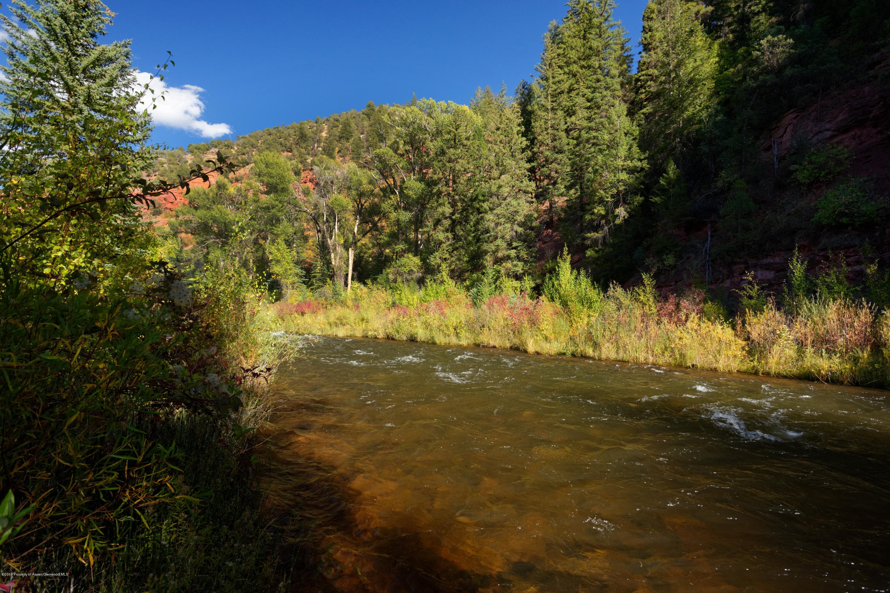 3006 Frying Pan Road, Basalt, CO 81621 - Photo 17