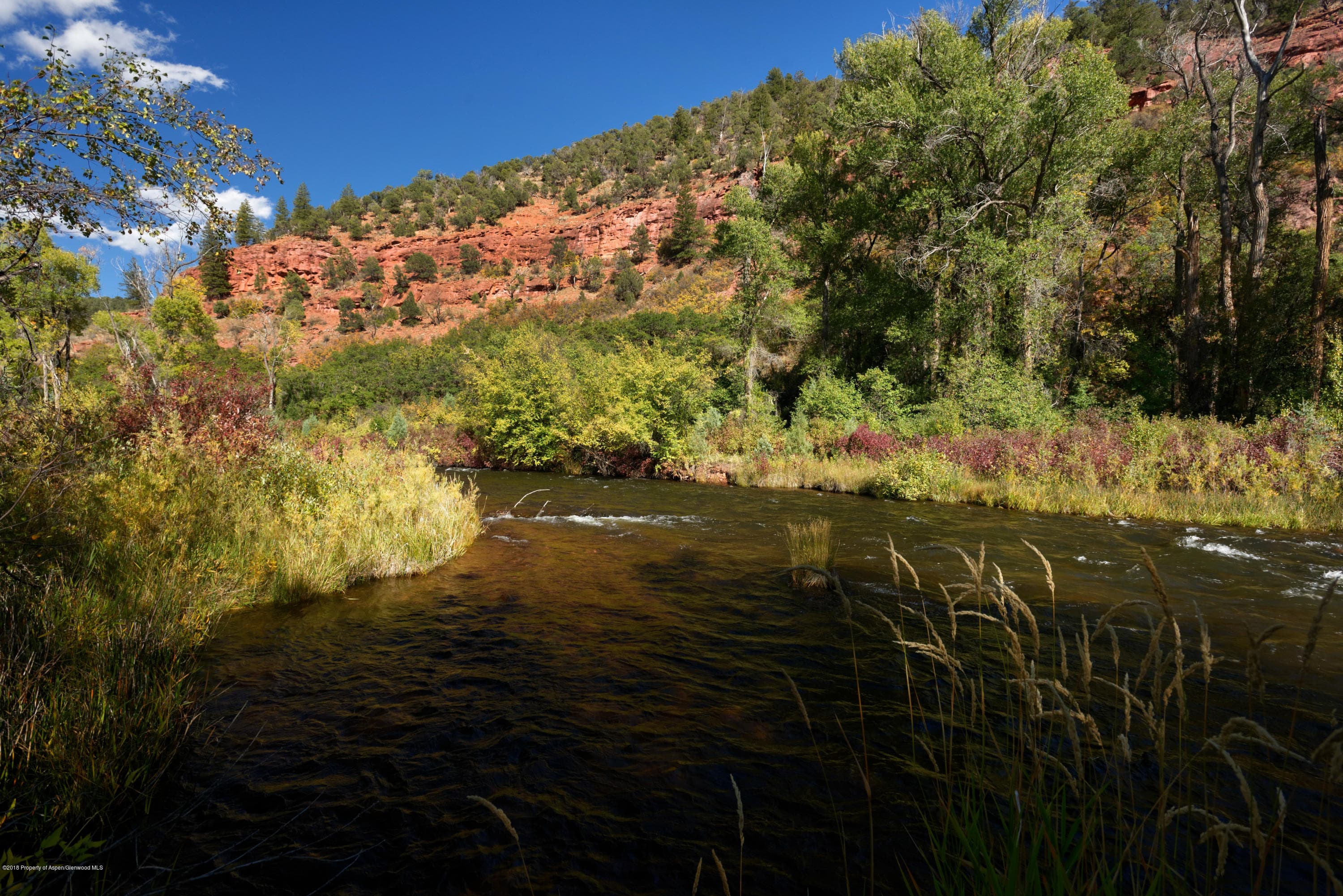 3006 Frying Pan Road, Basalt, CO 81621 - Photo 18