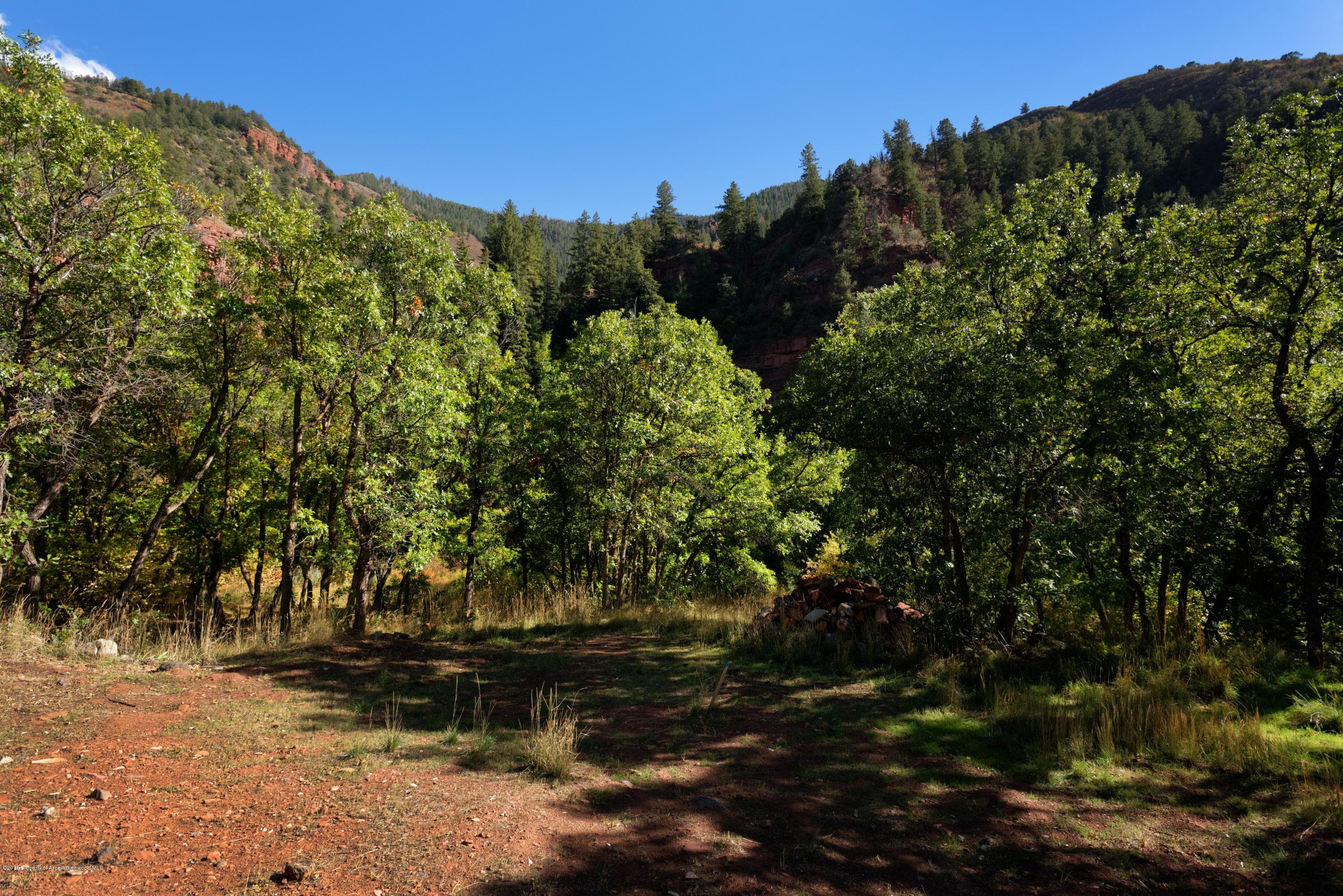 3006 Frying Pan Road, Basalt, CO 81621 - Photo 22