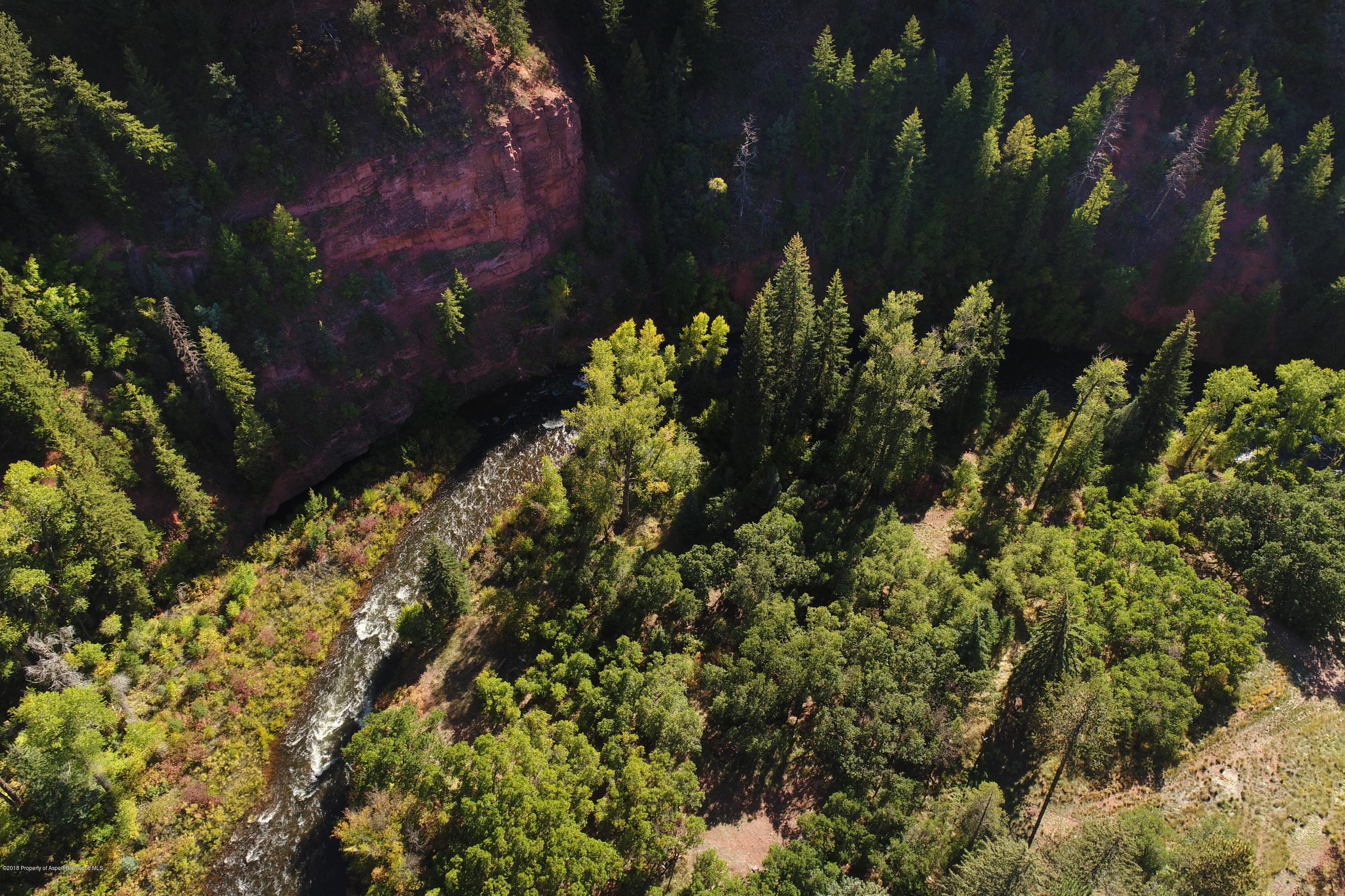 3006 Frying Pan Road, Basalt, CO 81621 - Photo 4