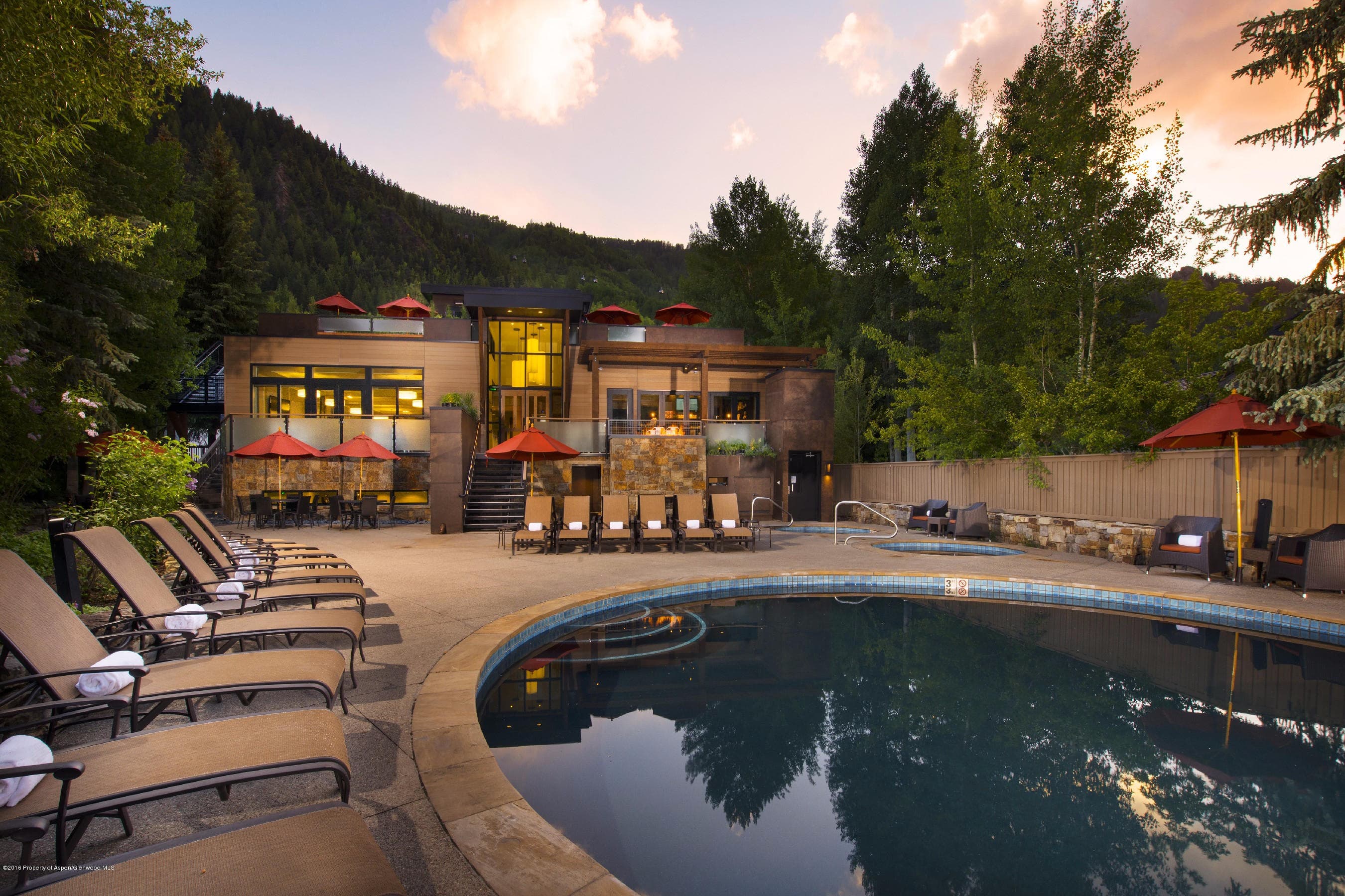 610 S West End Street H203, Aspen, CO 81611 - Photo 13