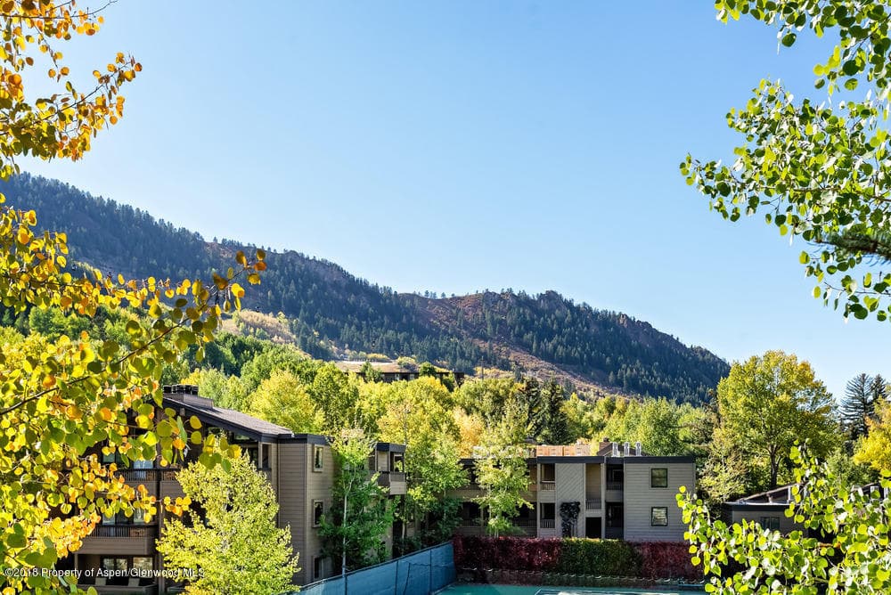 610 S West End Street H203, Aspen, CO 81611 - Photo 11