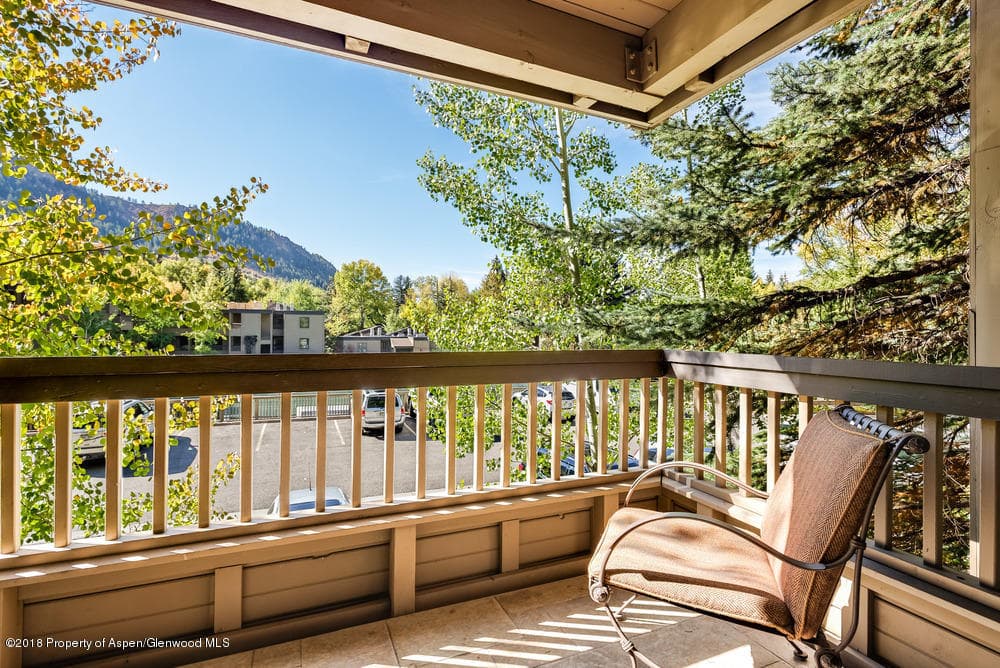 610 S West End Street H203, Aspen, CO 81611 - Photo 12