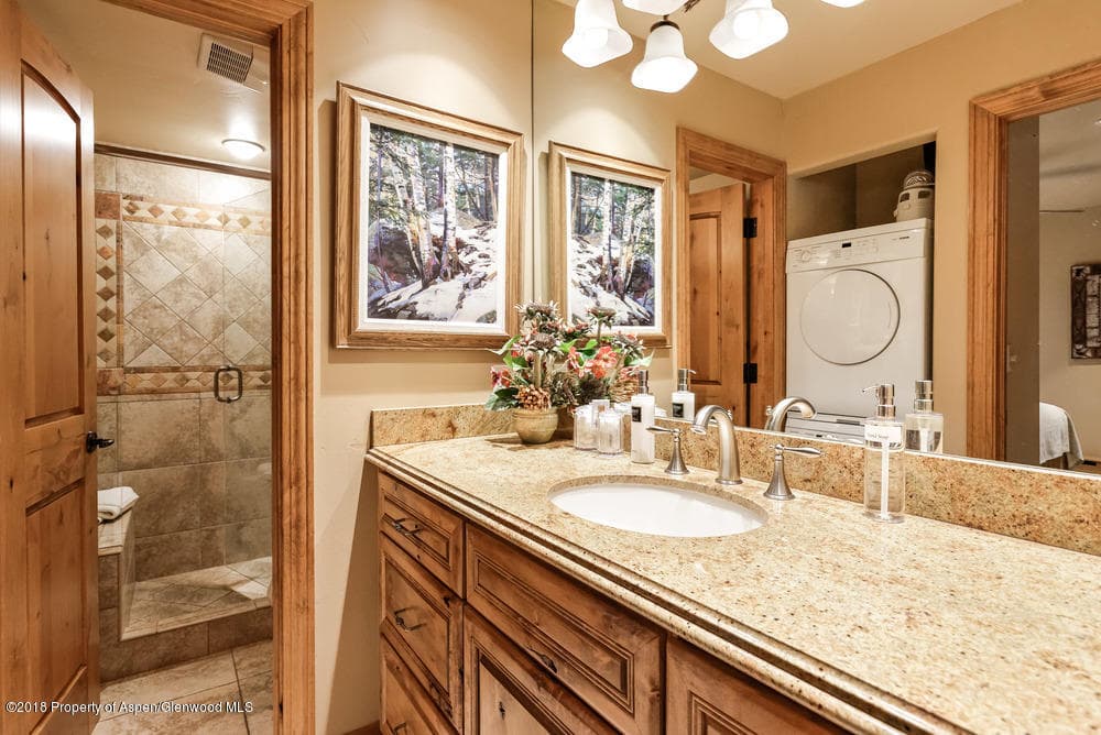 610 S West End Street H203, Aspen, CO 81611 - Photo 6