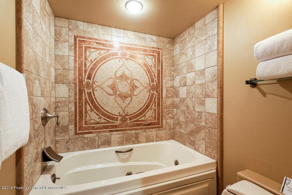610 S West End Street H203, Aspen, CO 81611 - Photo 5