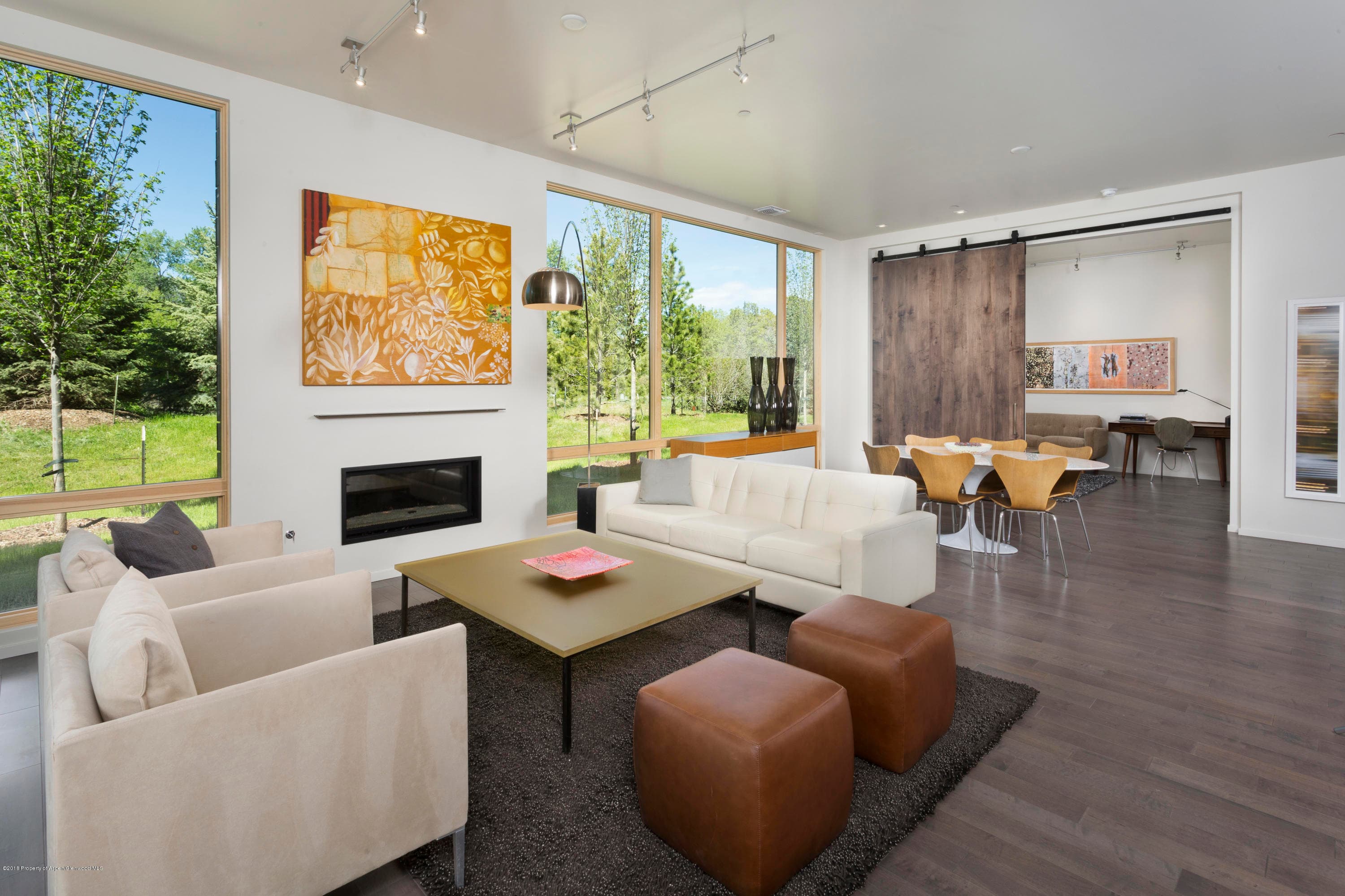 100 Evans Road Unit 104, Basalt, CO 81621 - Photo 3