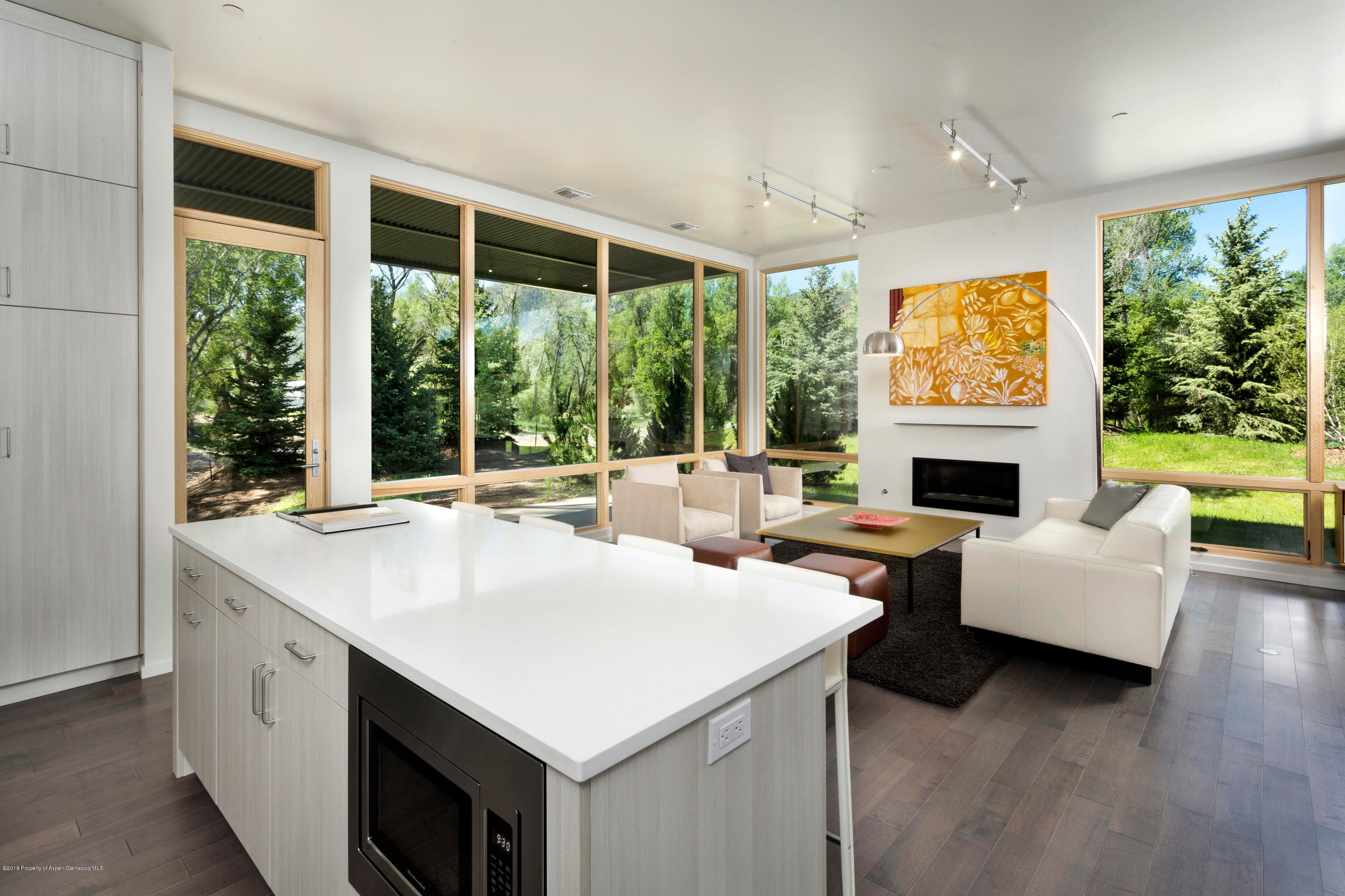 100 Evans Road Unit 104, Basalt, CO 81621 - Photo 4