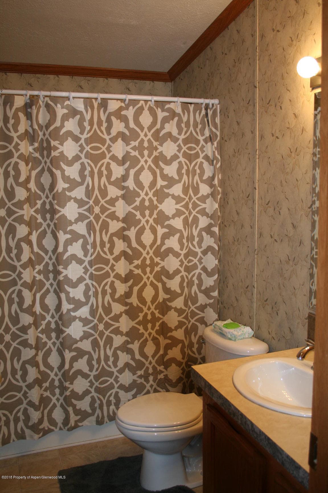 372 Mineral Springs Circle, Parachute, CO 81635 - Photo 10