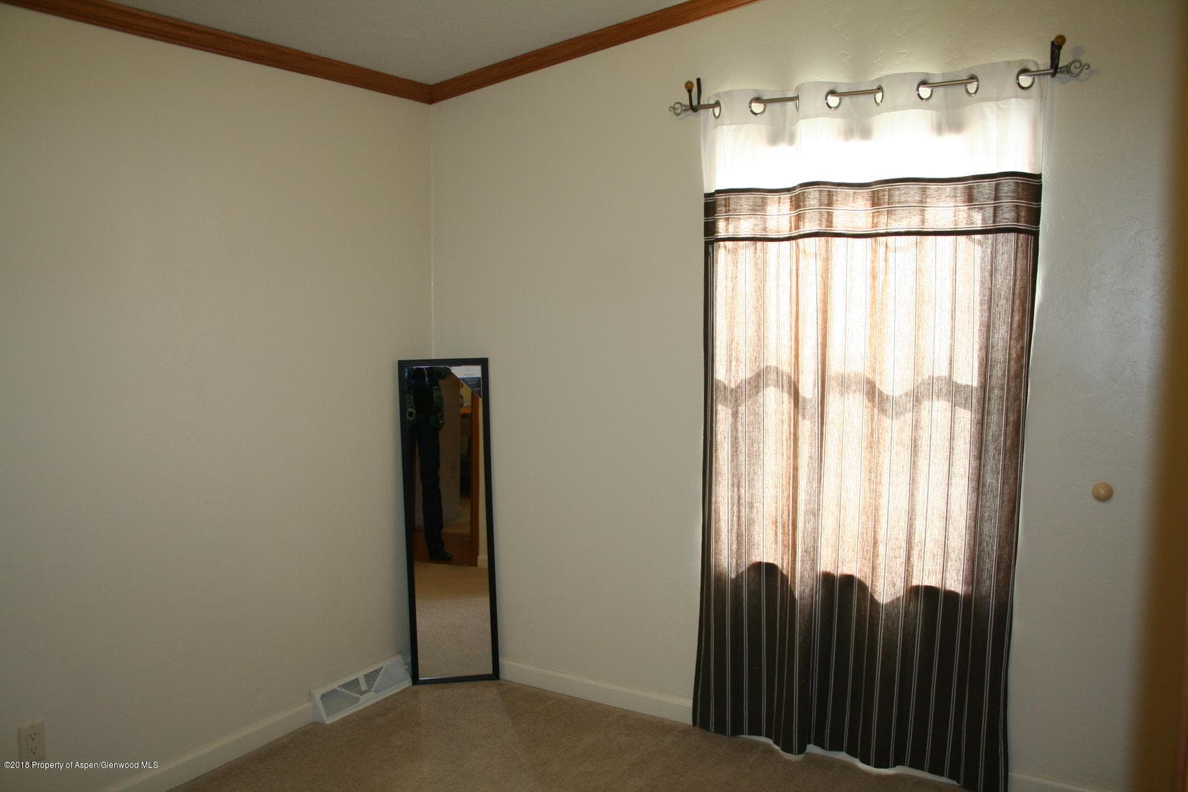 372 Mineral Springs Circle, Parachute, CO 81635 - Photo 14