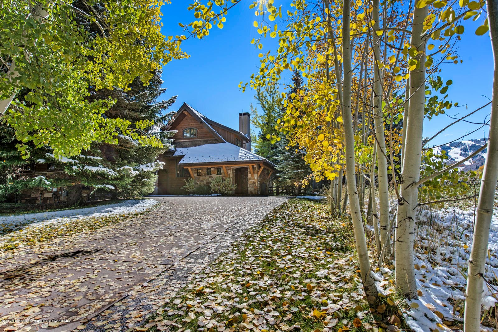 1495 Homestake Drive 2, Aspen, CO 81611 - Photo 11