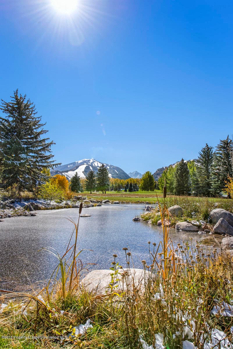 1495 Homestake Drive 2, Aspen, CO 81611 - Photo 16