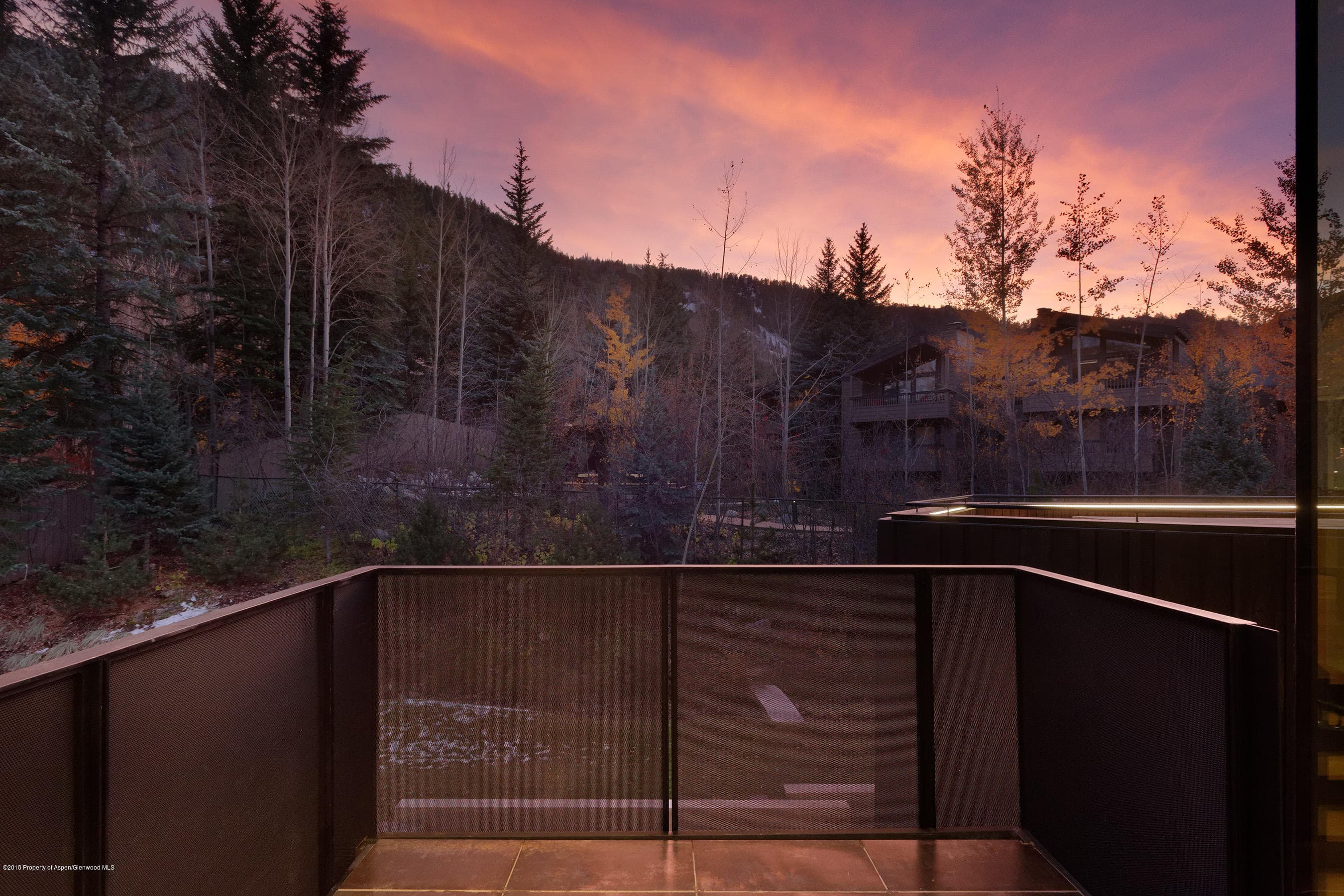 1118 Waters Avenue, Aspen, CO 81611 - Photo 19