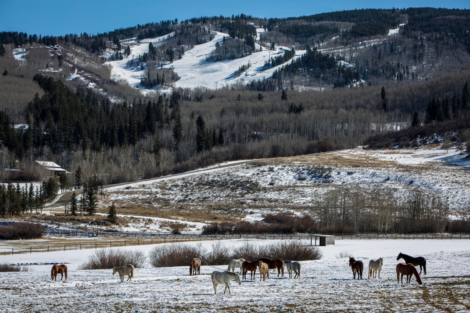 TBD Owl Creek Ranch Road, Aspen, CO 81611 - Photo 5