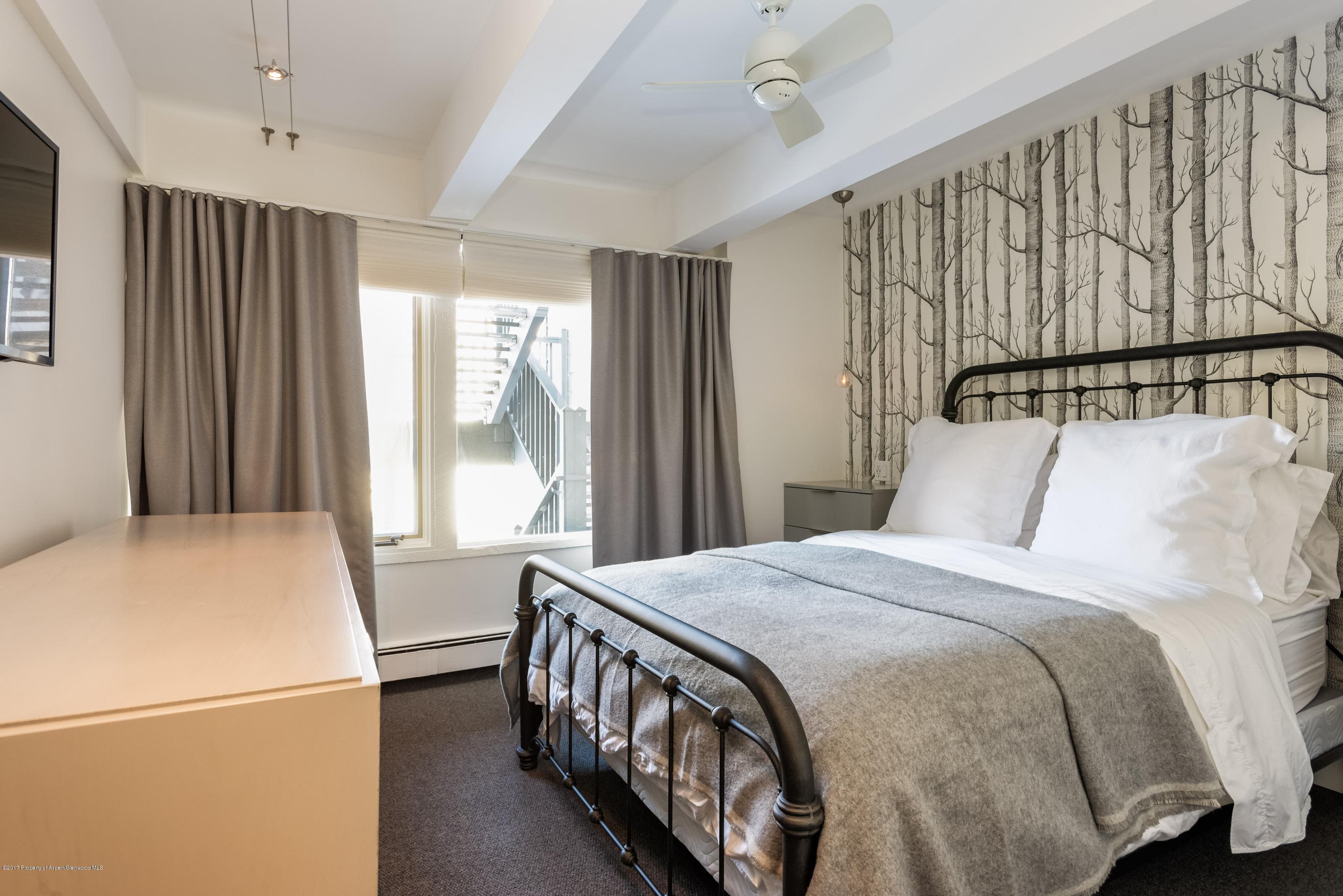 124 W Hyman Avenue 2-E, Aspen, CO 81611 - Photo 14
