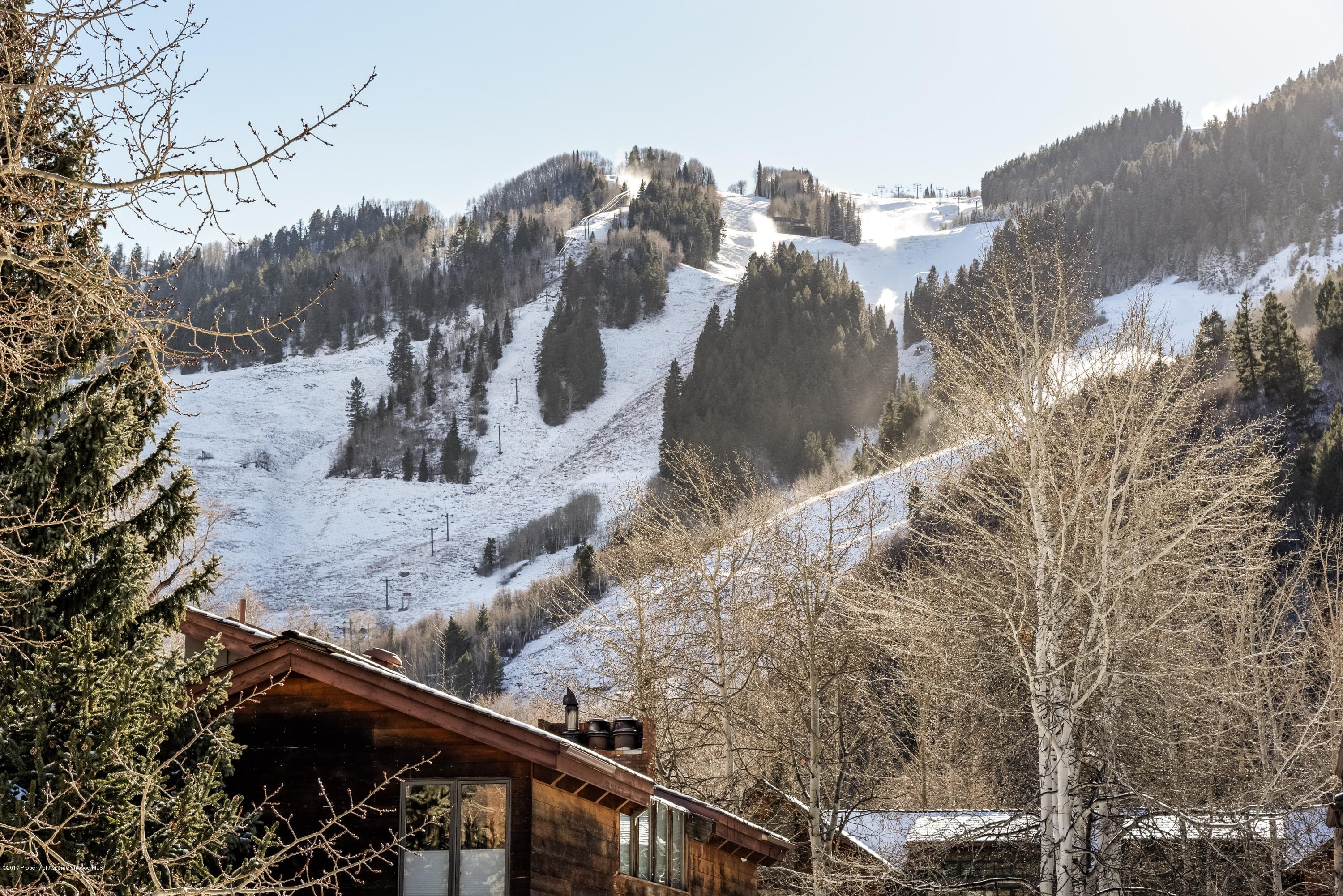 124 W Hyman Avenue 2-E, Aspen, CO 81611 - Photo 16