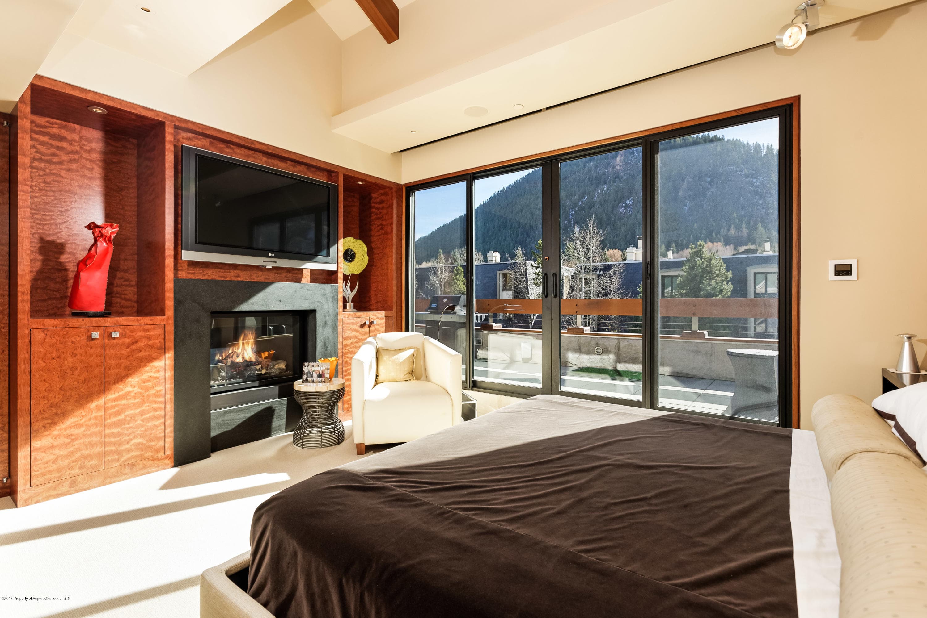 710 E Durant Avenue Unit C & D, Aspen, CO 81611 - Photo 11