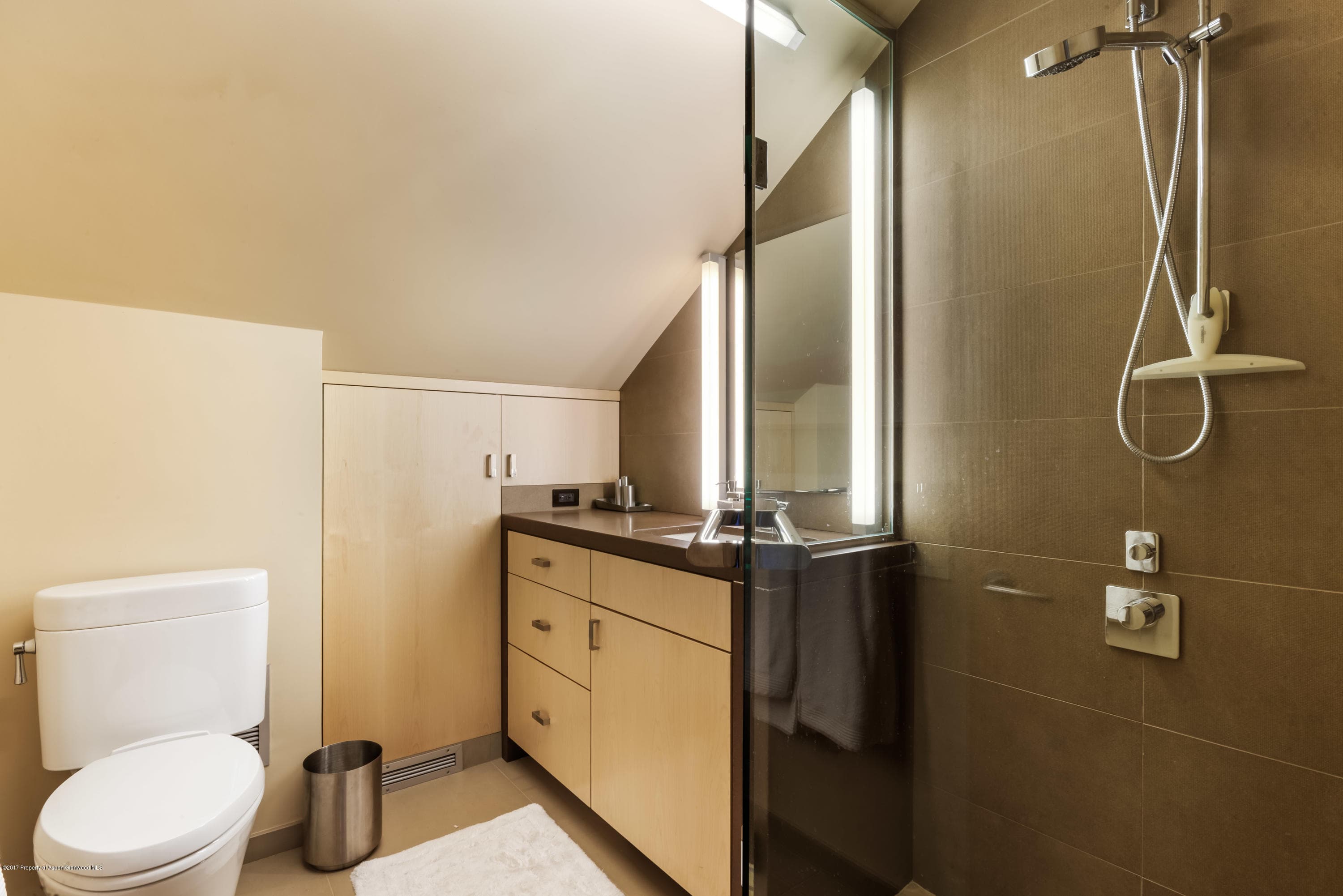 710 E Durant Avenue Unit C & D, Aspen, CO 81611 - Photo 21