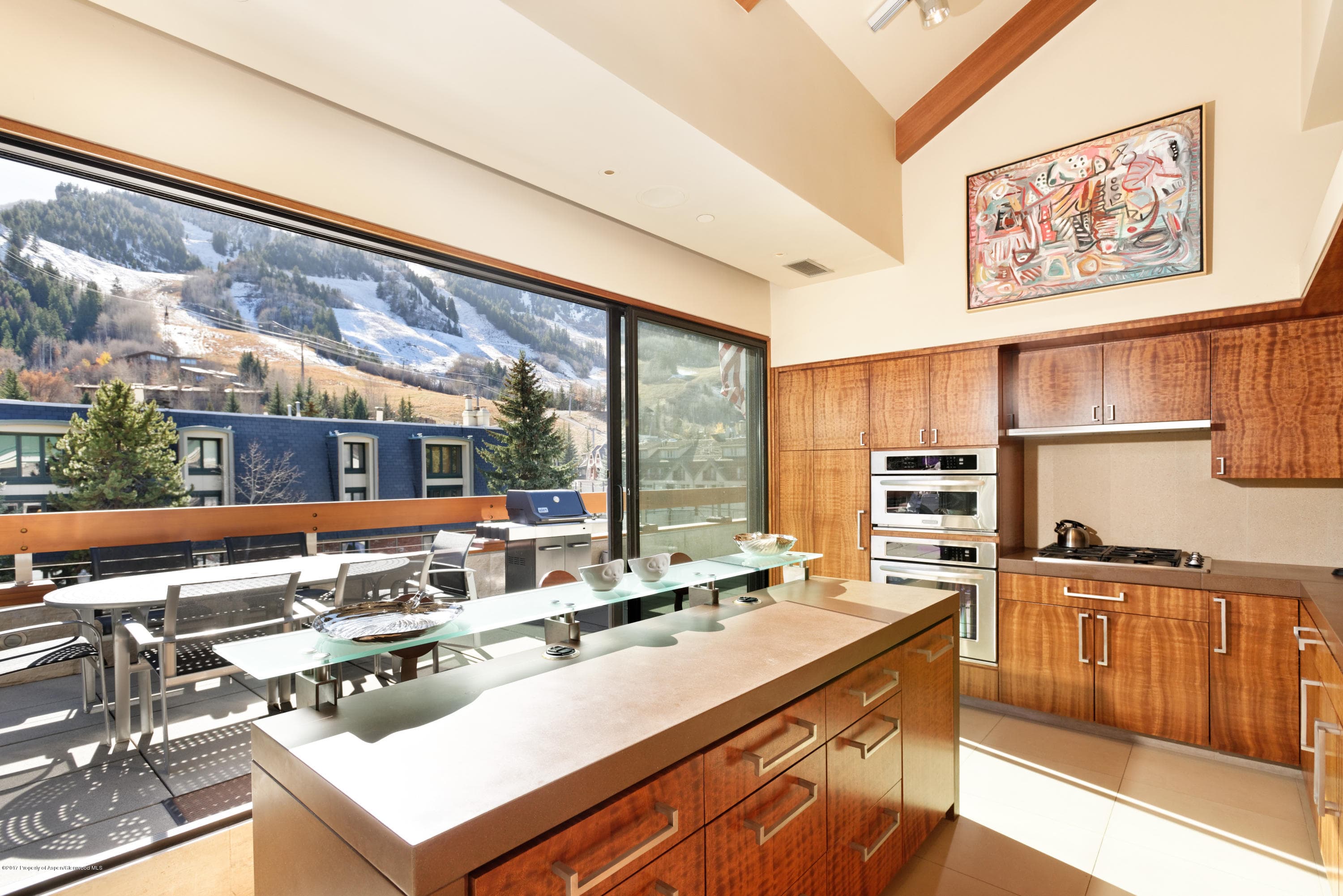 710 E Durant Avenue Unit C & D, Aspen, CO 81611 - Photo 23