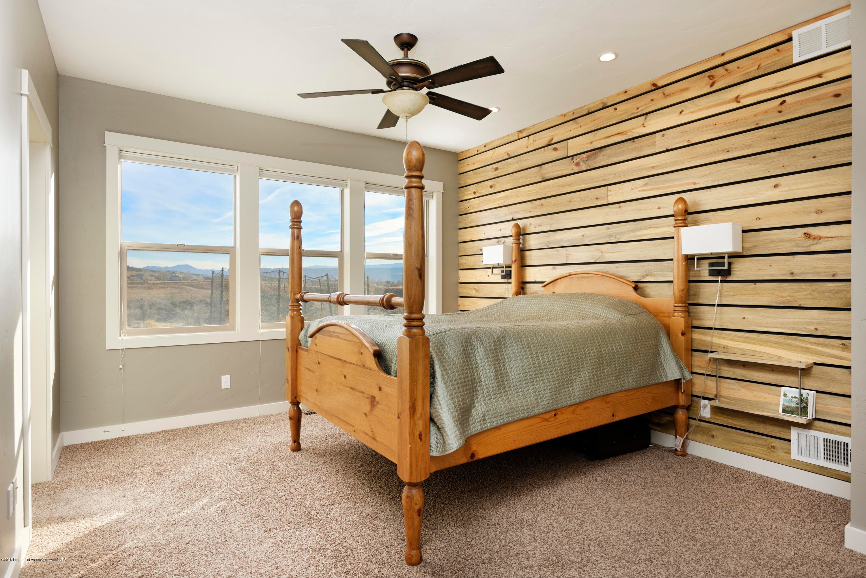 1710 Belgian Loop, Silt, CO 81652 - Photo 3