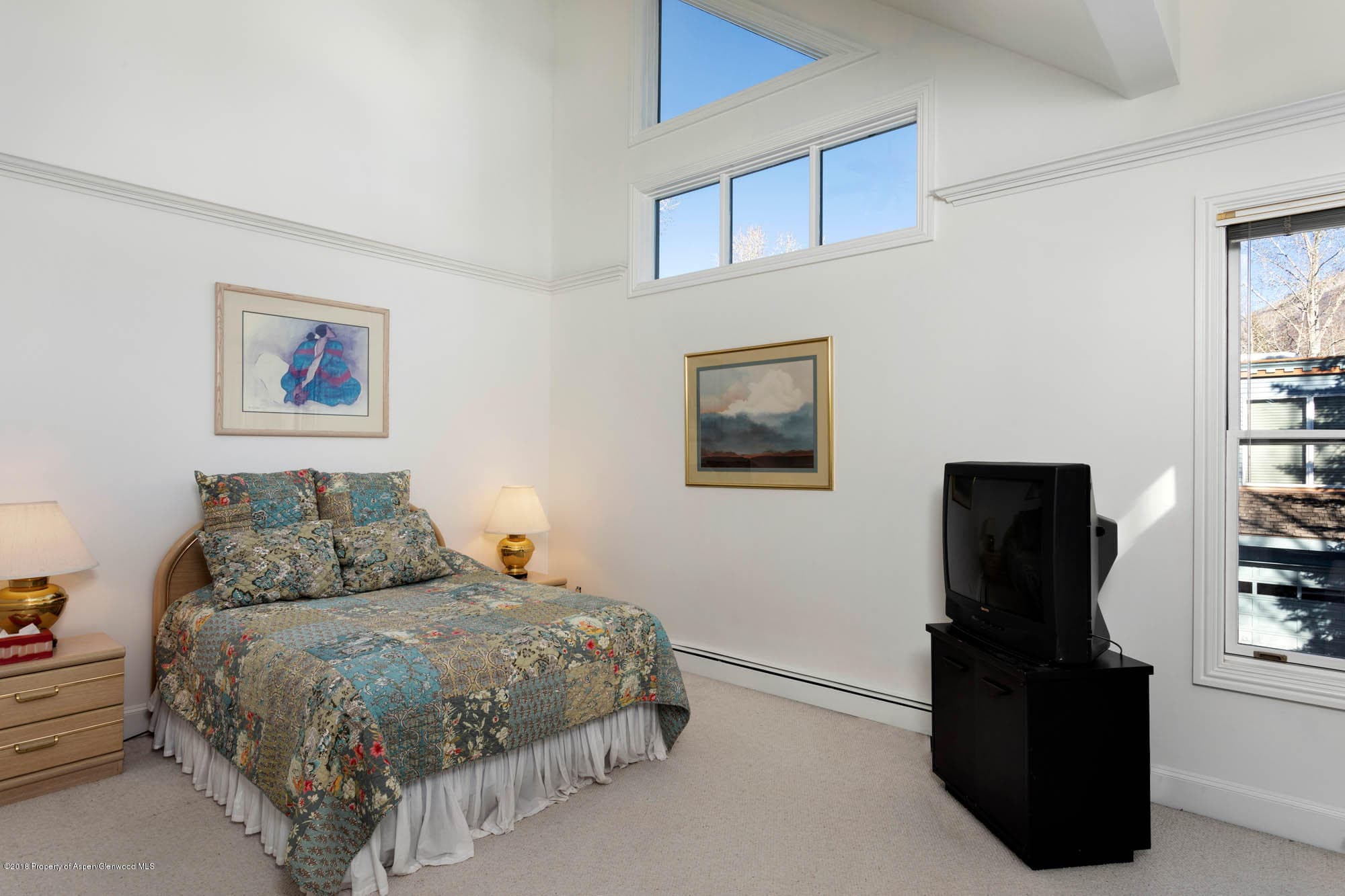 728 W Bleeker Street, Aspen, CO 81611 - Photo 11