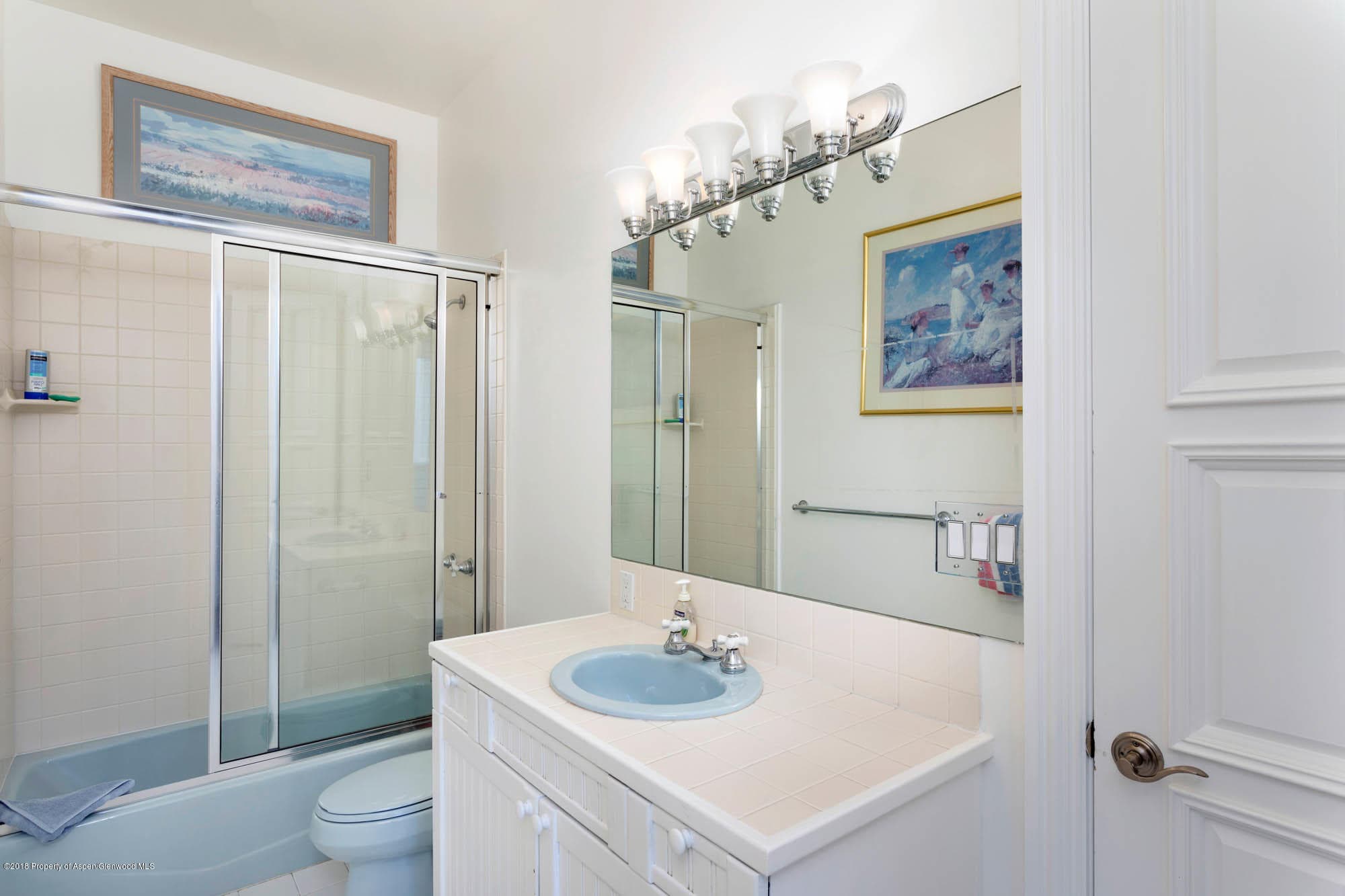 728 W Bleeker Street, Aspen, CO 81611 - Photo 12